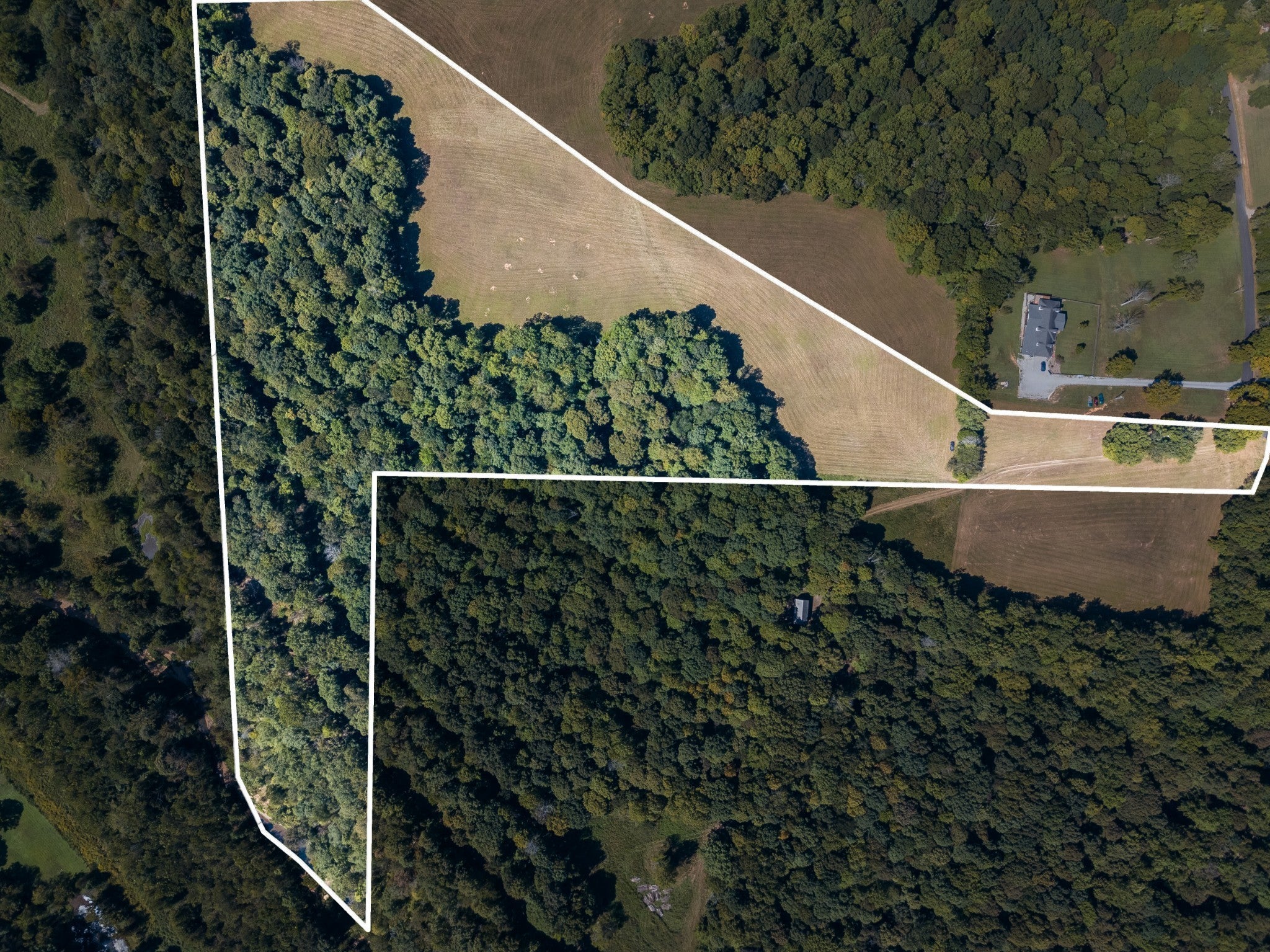5 Albert Fentress Rd