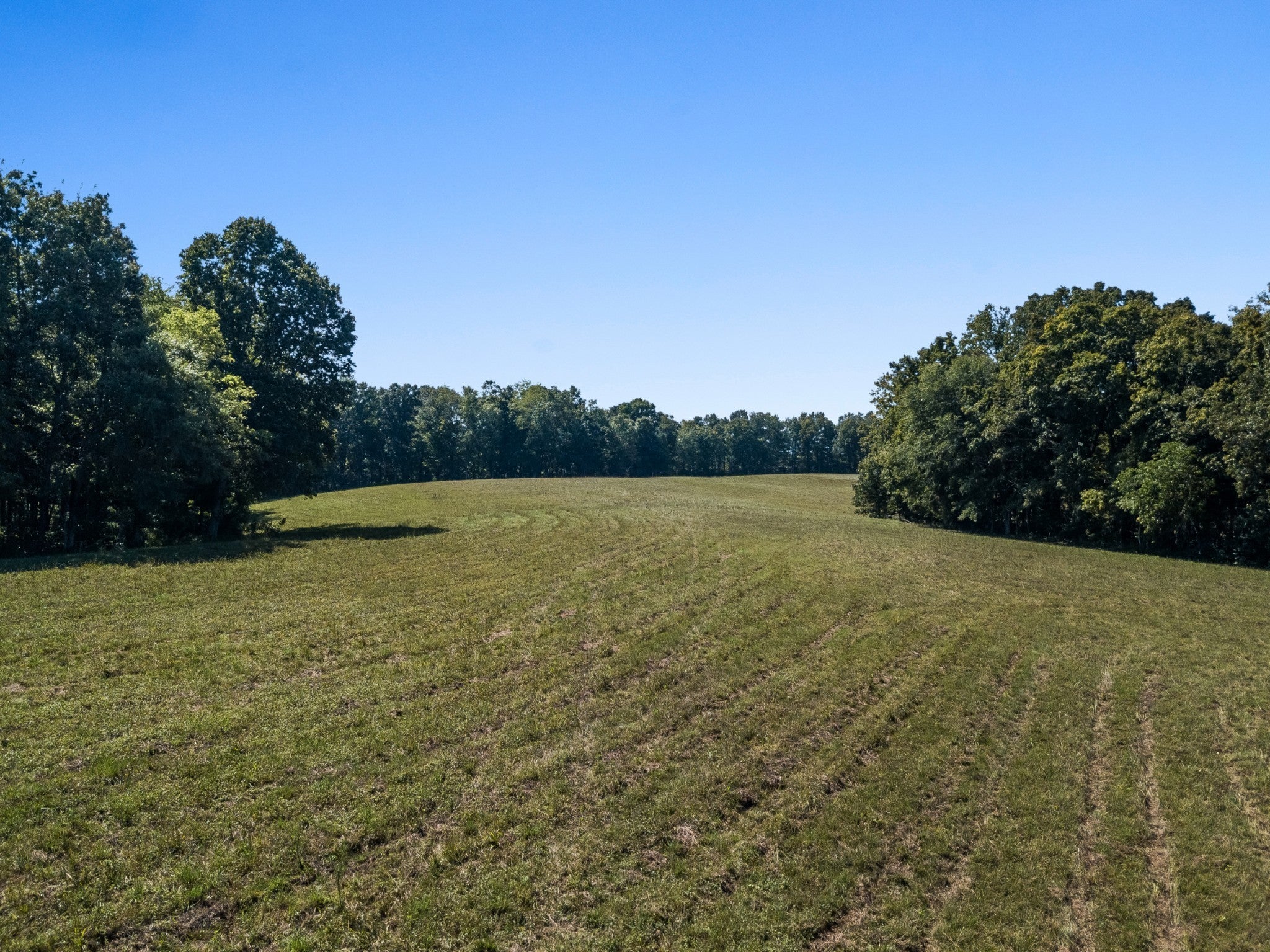 5 Albert Fentress Rd