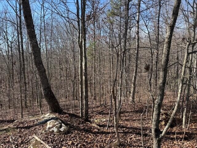 3 South Pittsburg Mountain