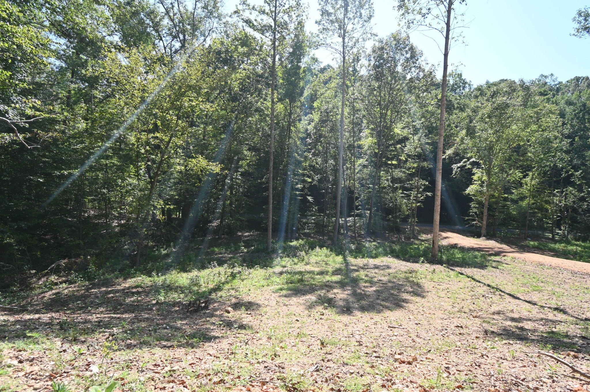 1738 Swindle Creek Rd