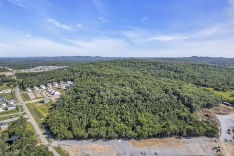 0 Rocky Fork Almaville Rd Smyrna TN 37167