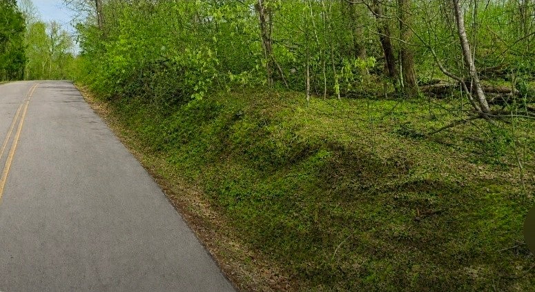 0 High Ridge Viars Rd - Photo 3