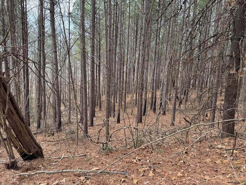 613 Williams Grove Rd