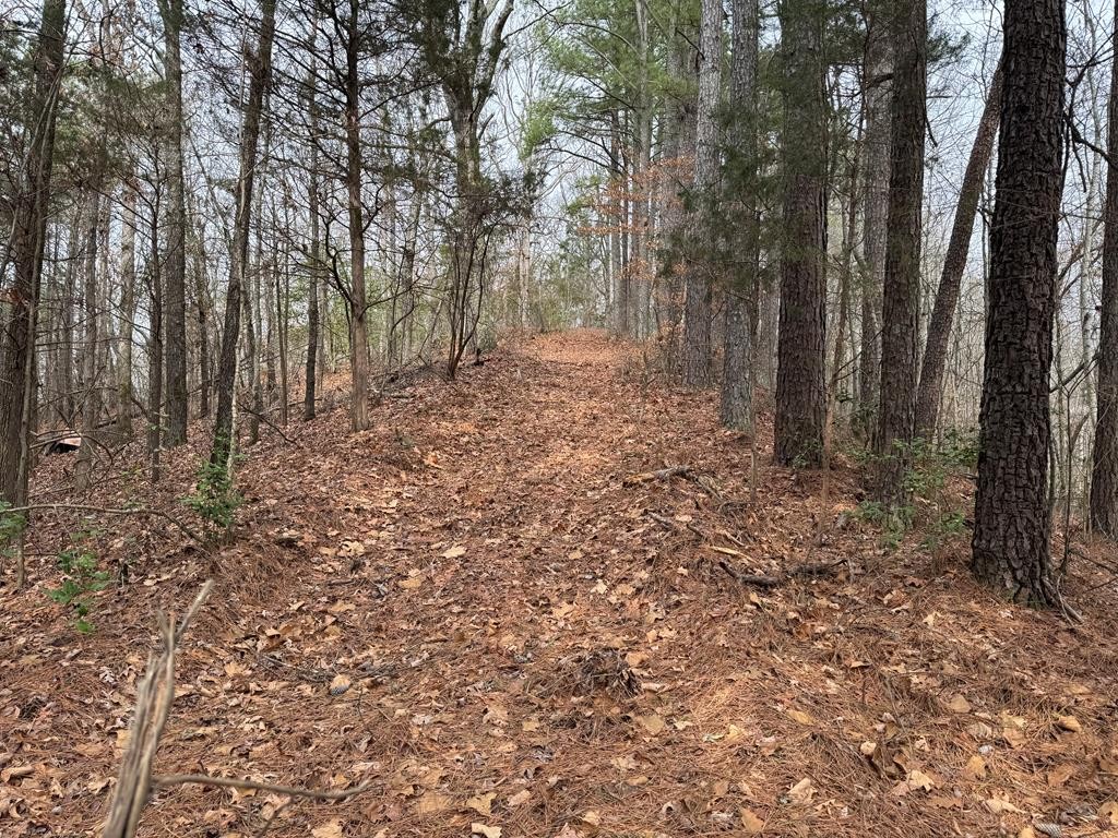 613 Williams Grove Rd