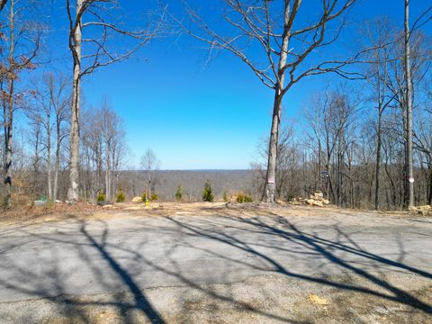 1065 Sioux Trail Pegram TN 37143