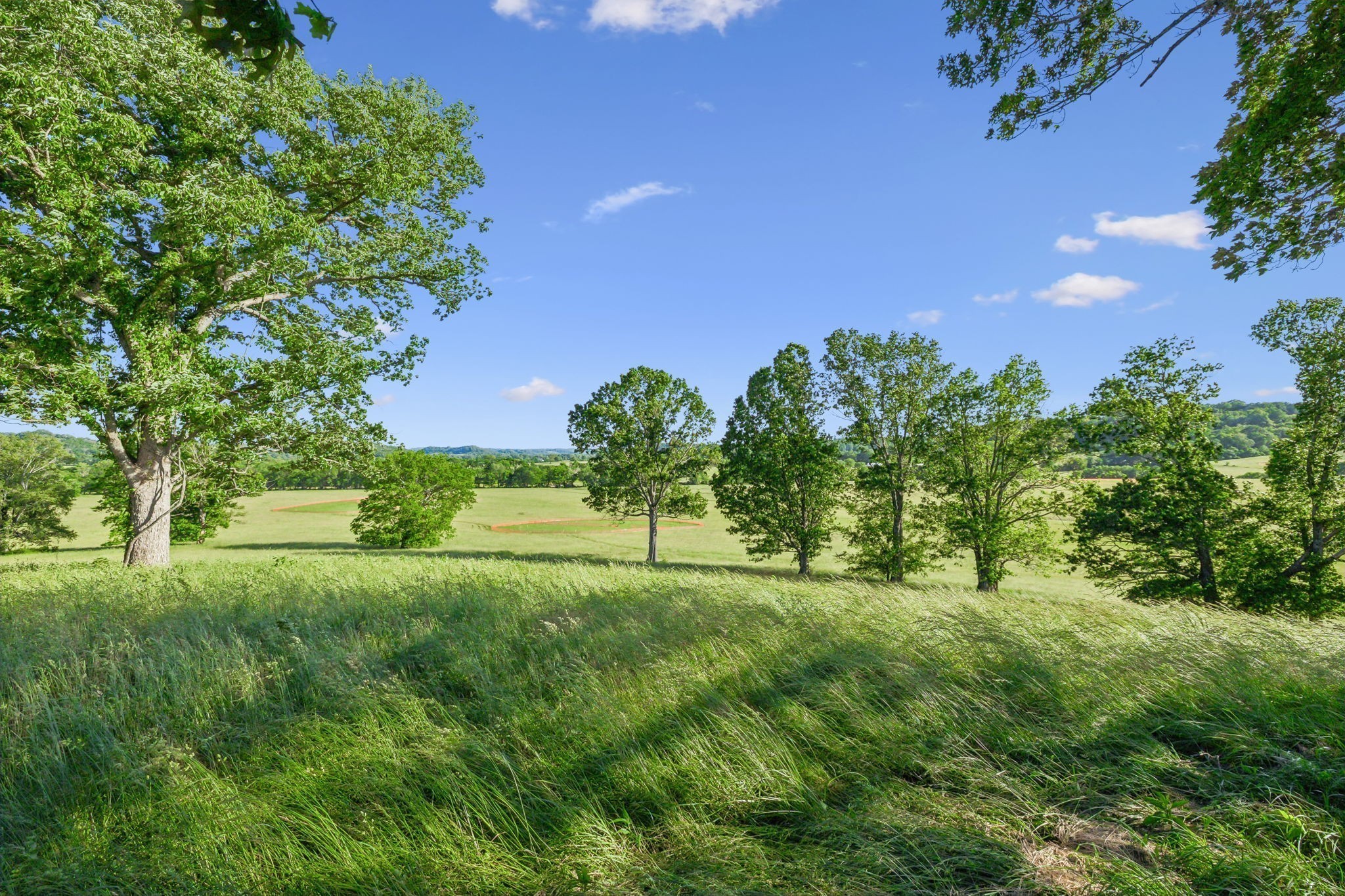 3201 Carl Rd, Franklin 3201 Carl Rd, Franklin TN 37064 0-bed lot, photo 4 of 27