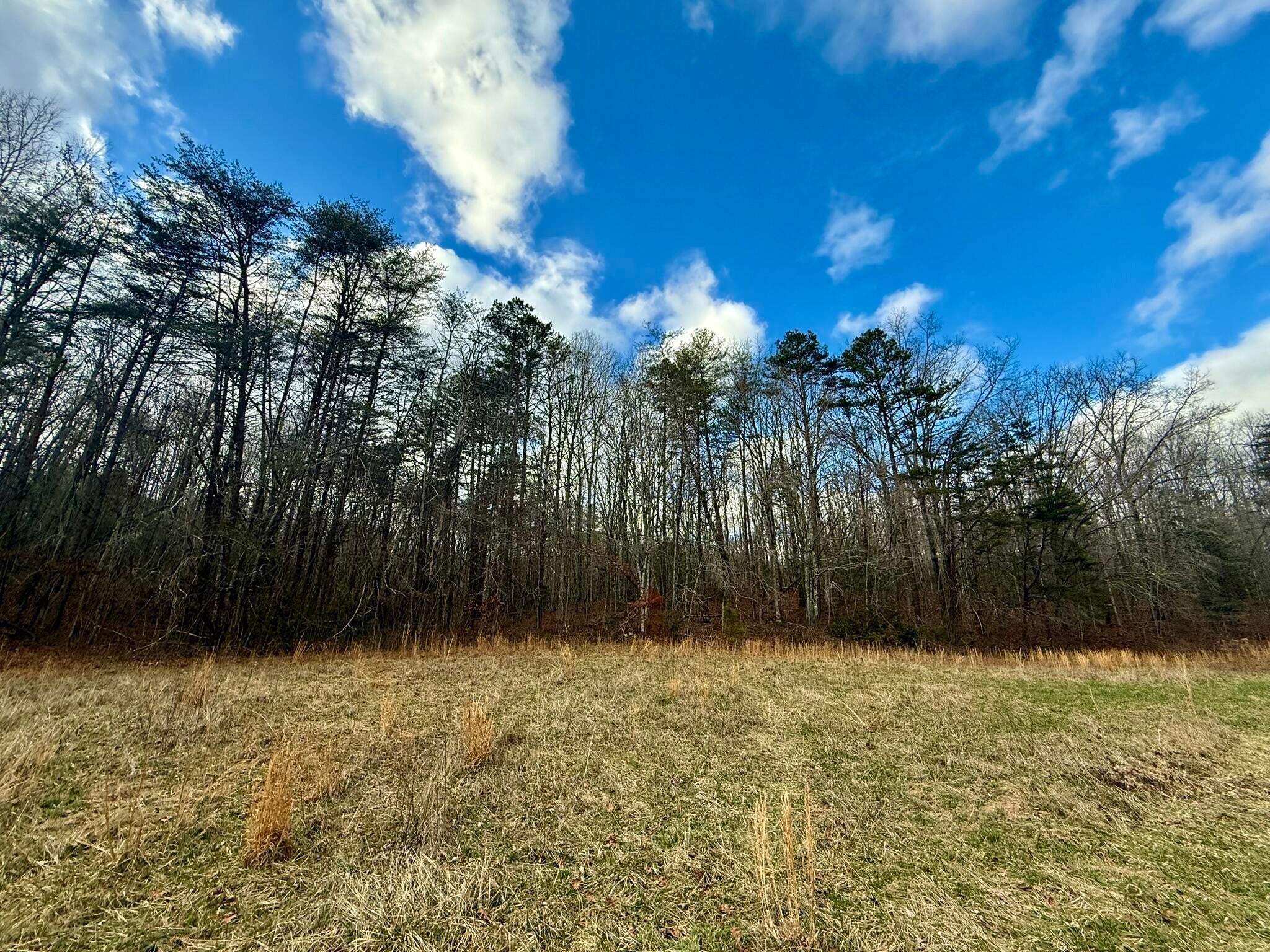 0 Cedar Springs Road