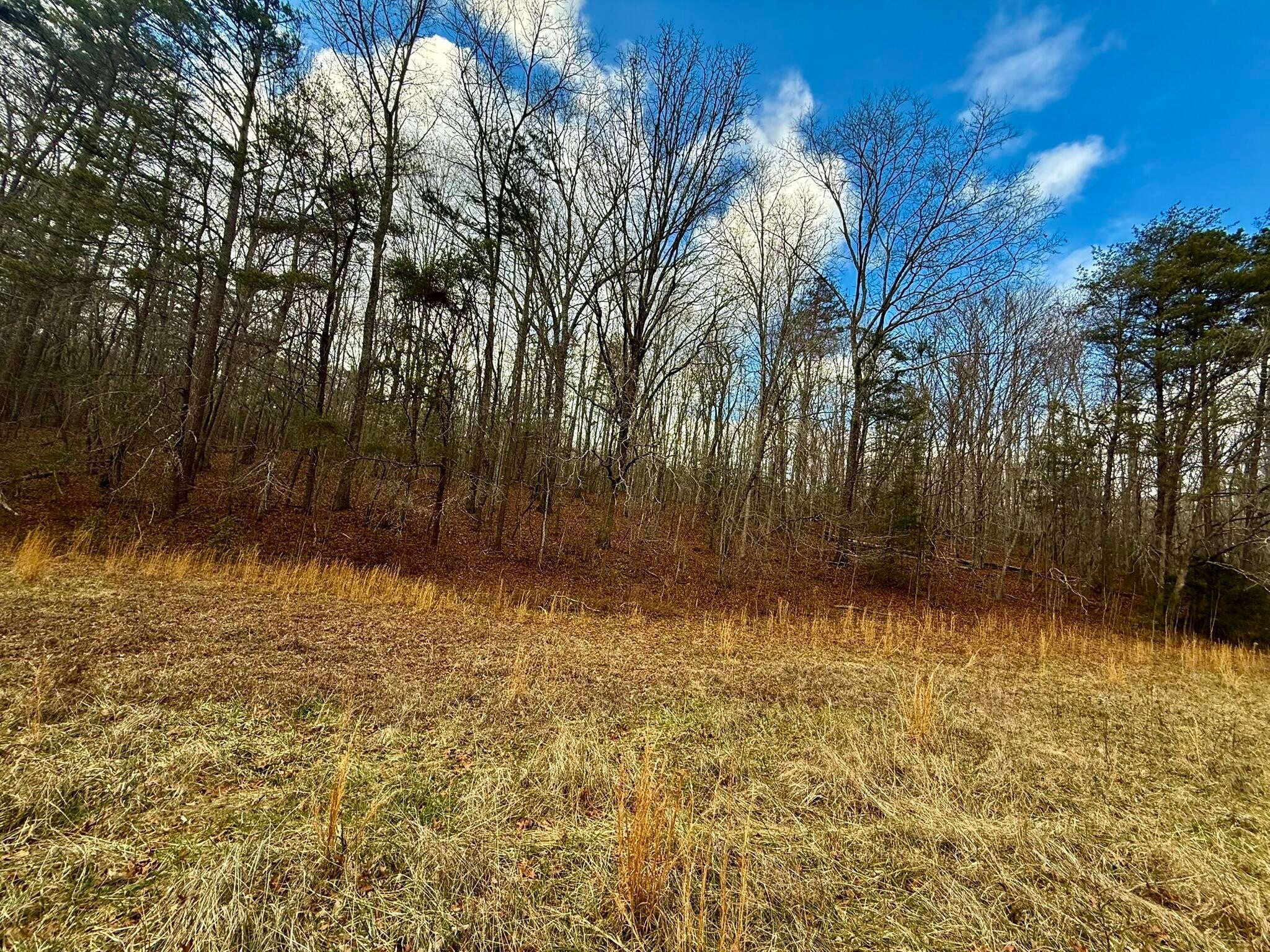 0 Cedar Springs Road