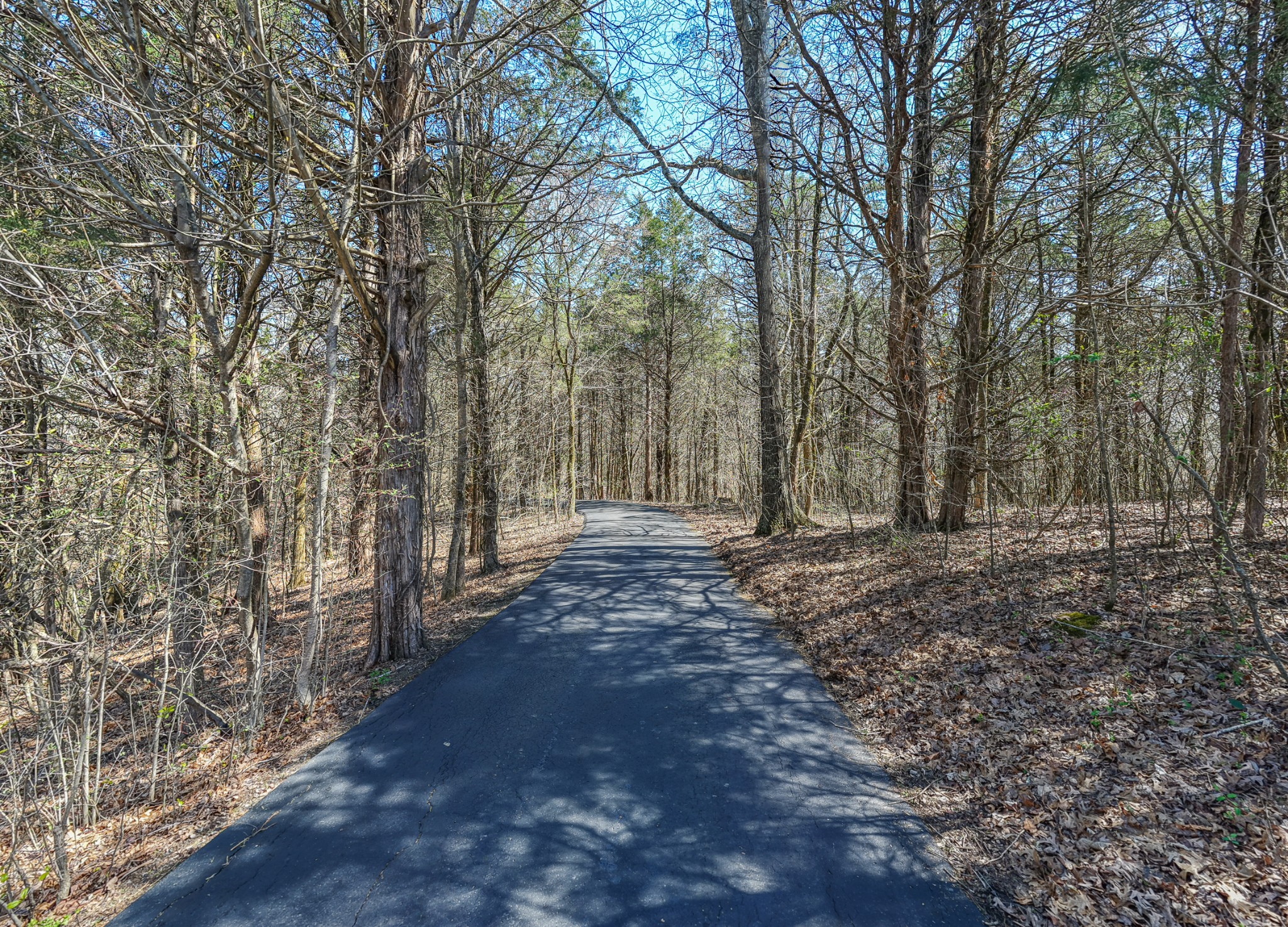 2082 Canoe Branch Rd