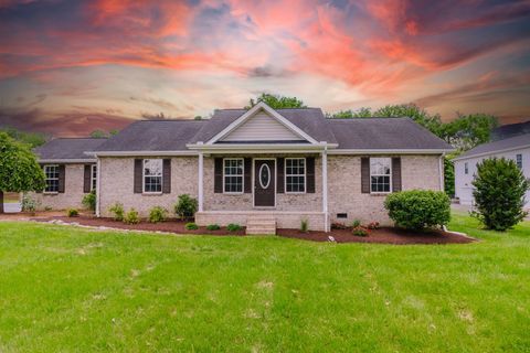 1078 Pinnacle Way Castalian Springs TN 37031