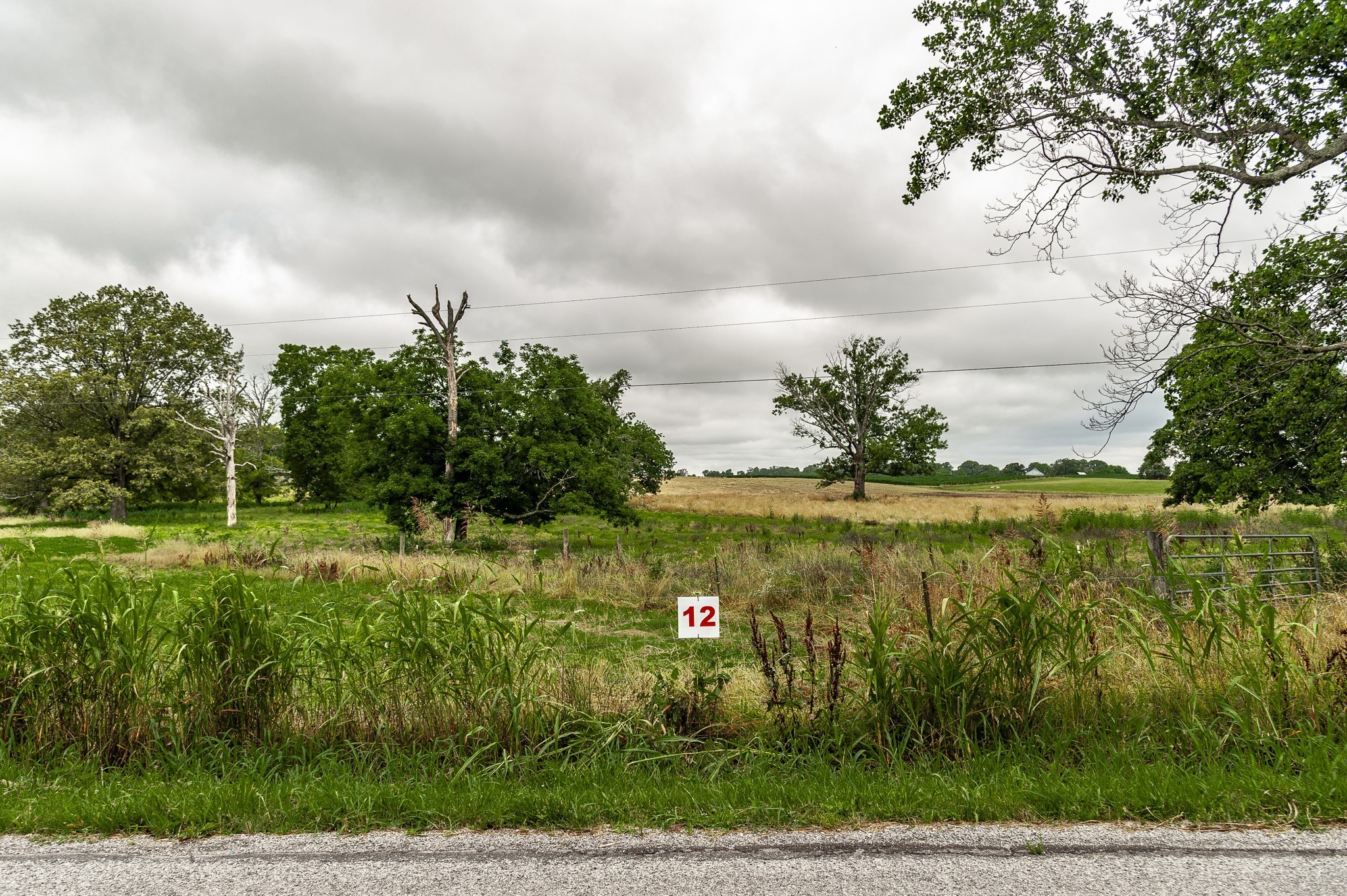 0 Homer Worsham Road