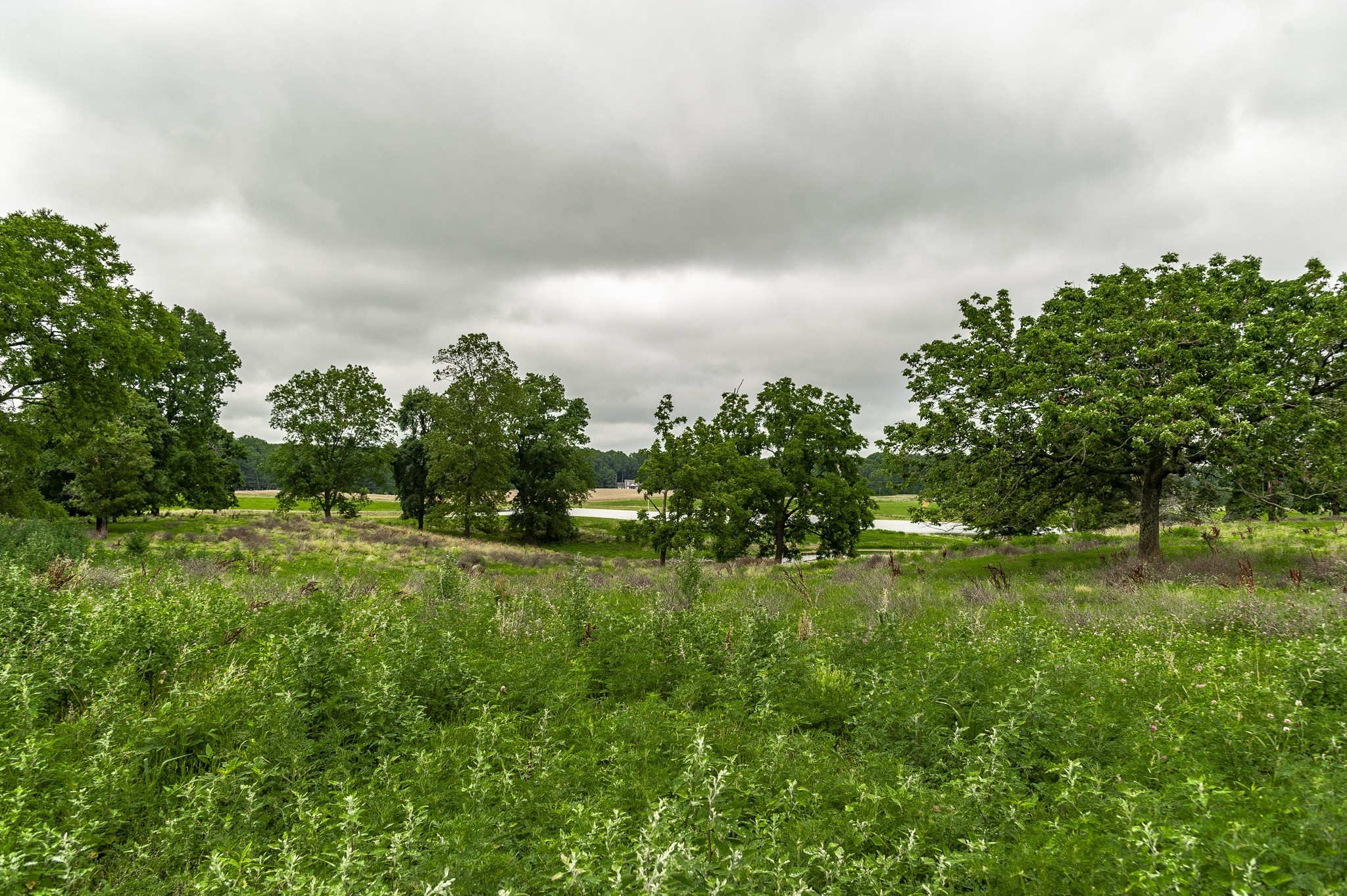 0 Homer Worsham Road