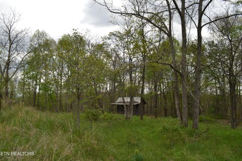 Photo of 0 N Of Deer Lodge Hwy, Deer Lodge, TN 37726 (MLS # 3175952)