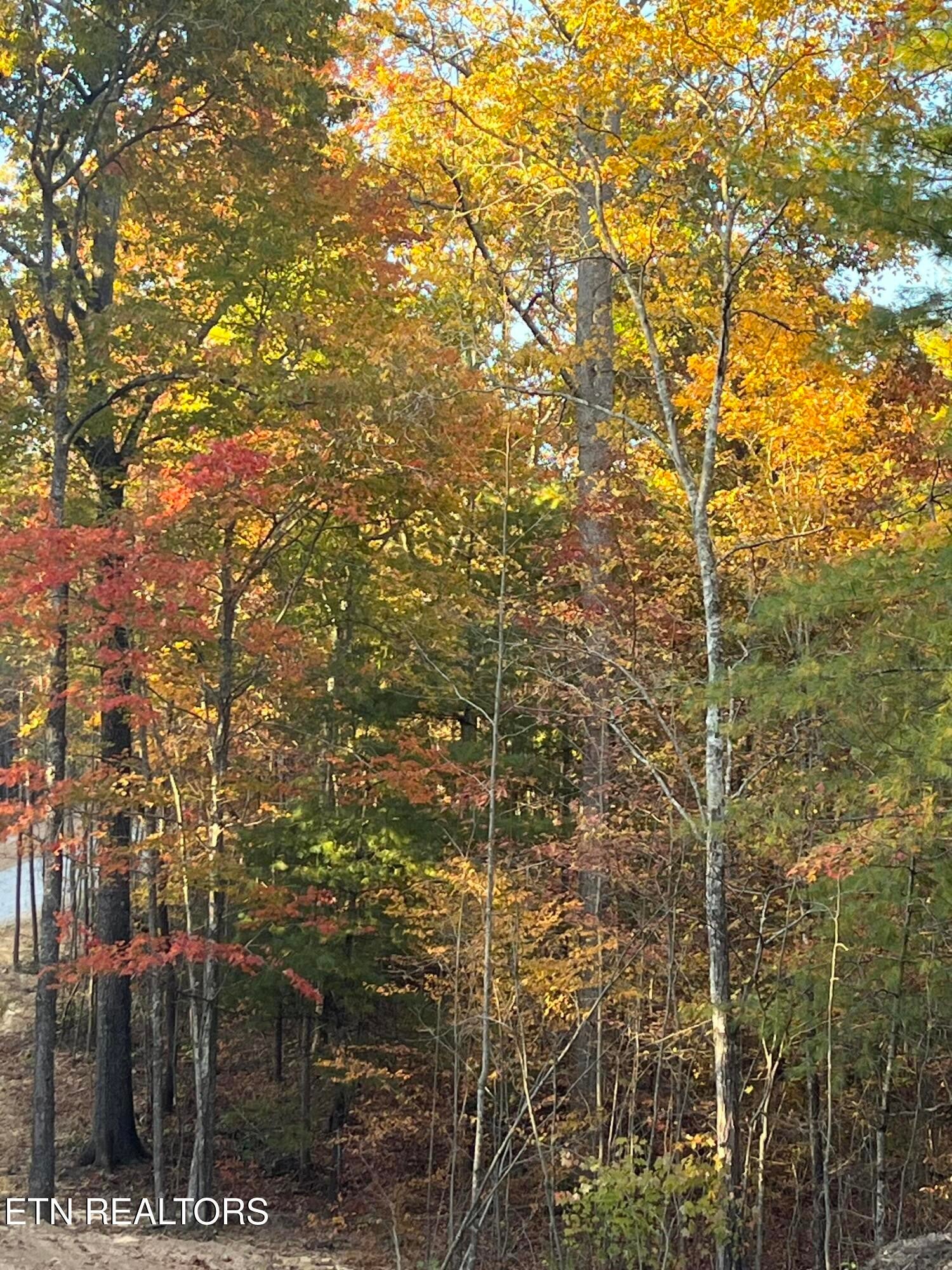 108 Cherokee Path