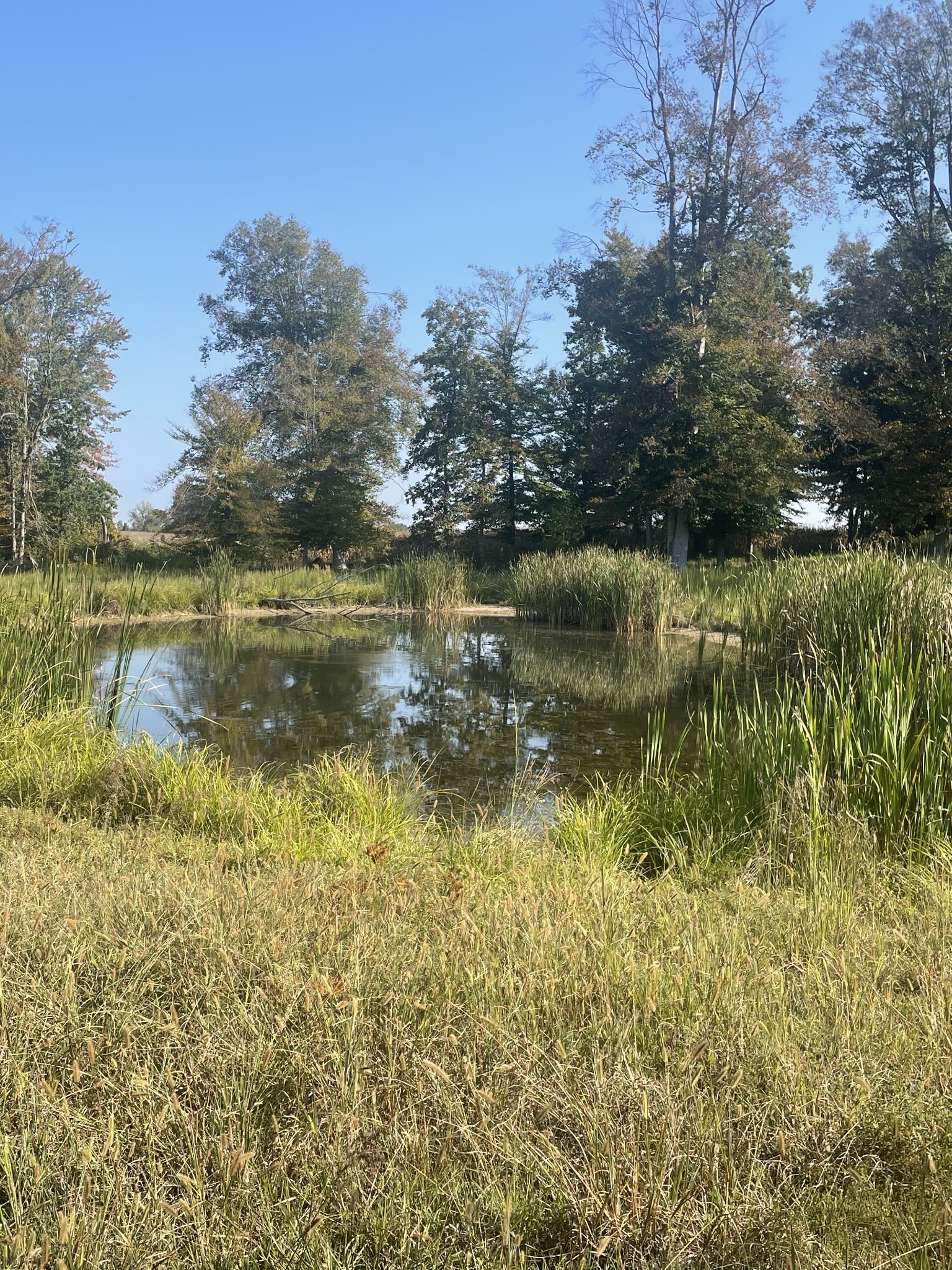 1266 Old Buck Creek Rd