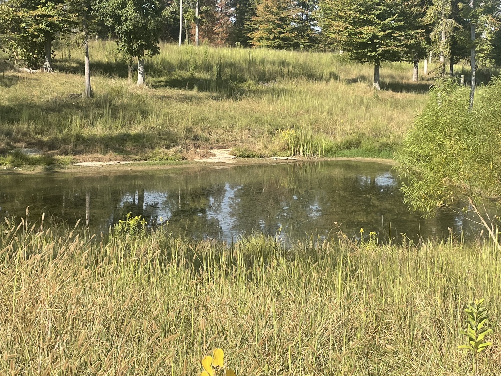 1266 Old Buck Creek Rd