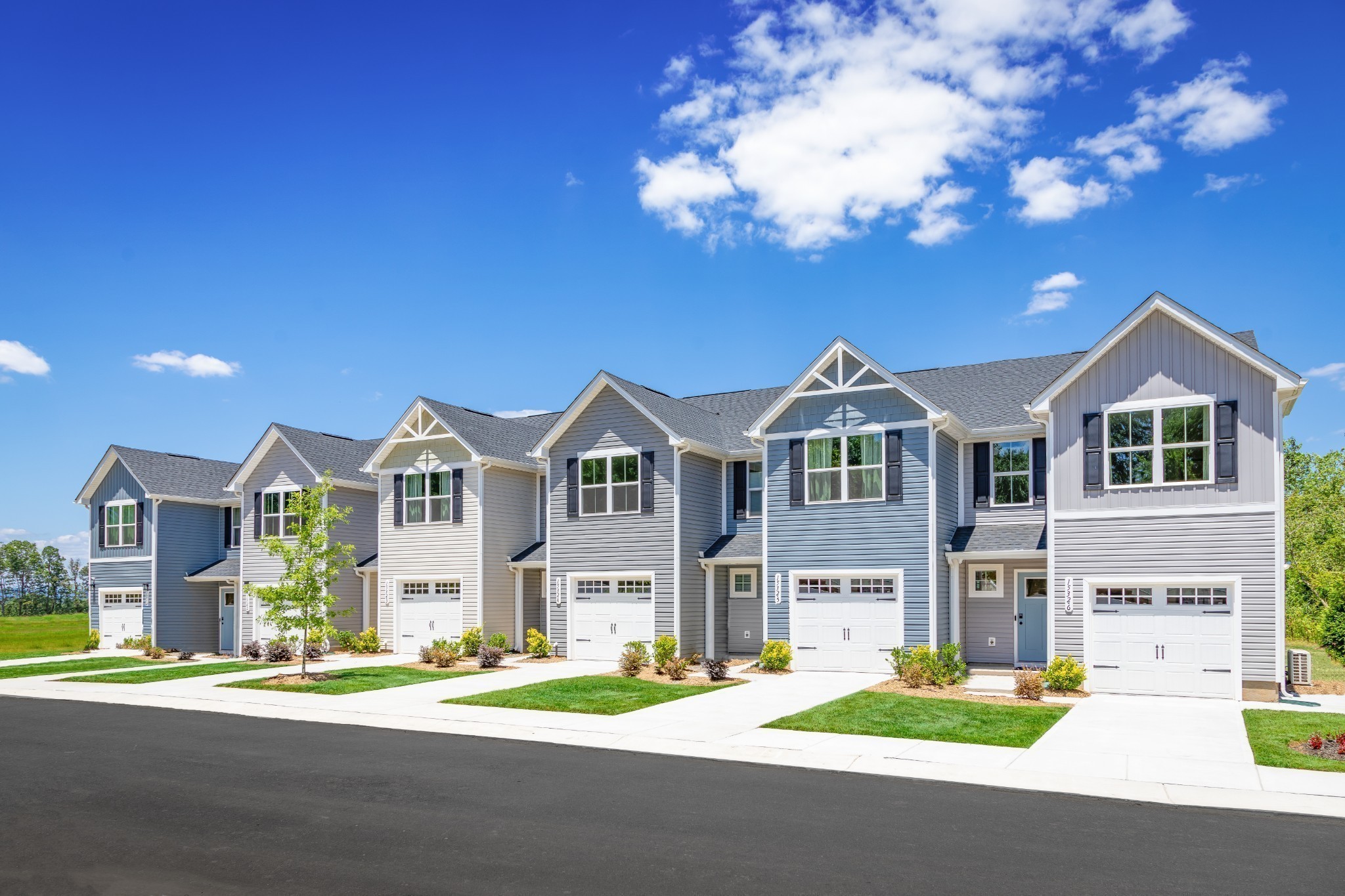 1442 Budding Branch Drive