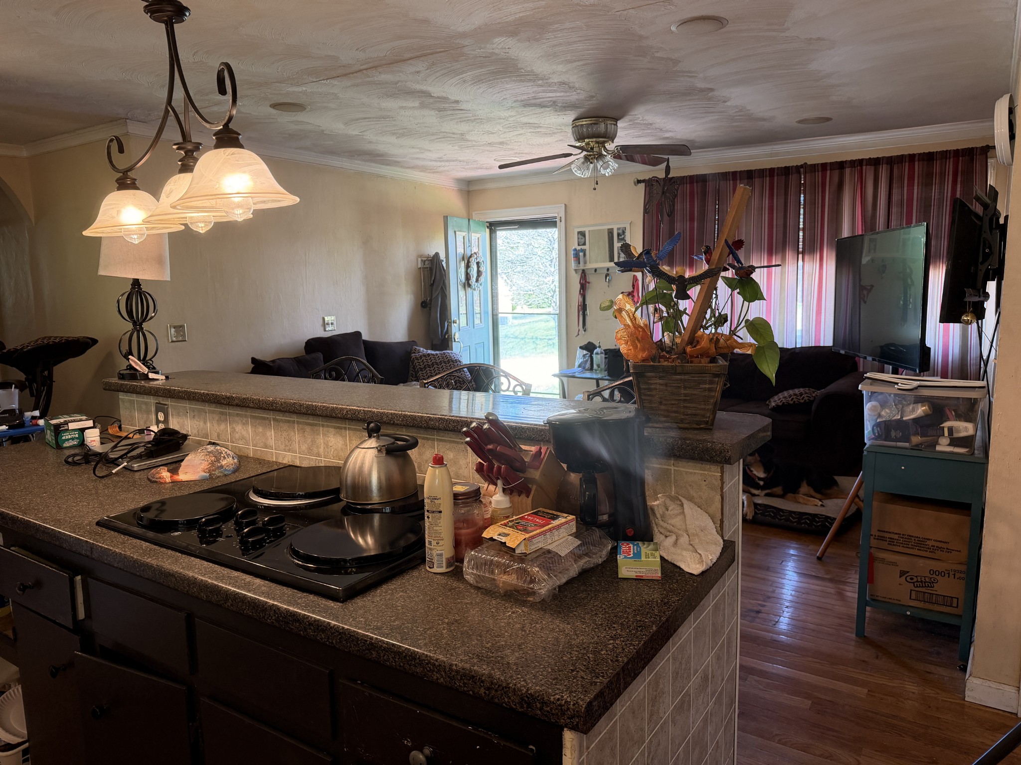 208 Evergreen Cir