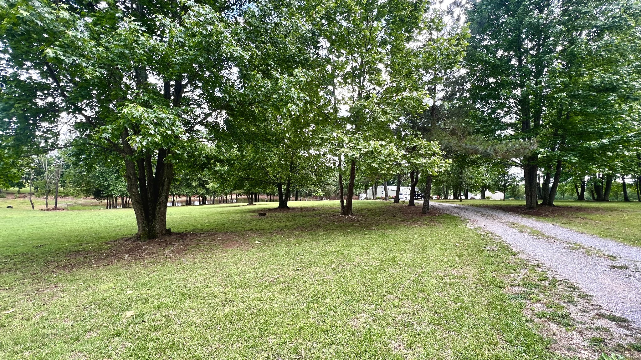147 Paul Spears Rd