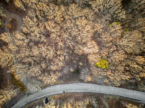 177 Sunset Bluff Way Monteagle TN 37356