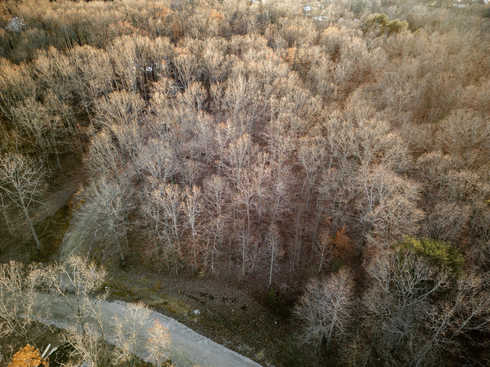 177 Sunset Bluff Way