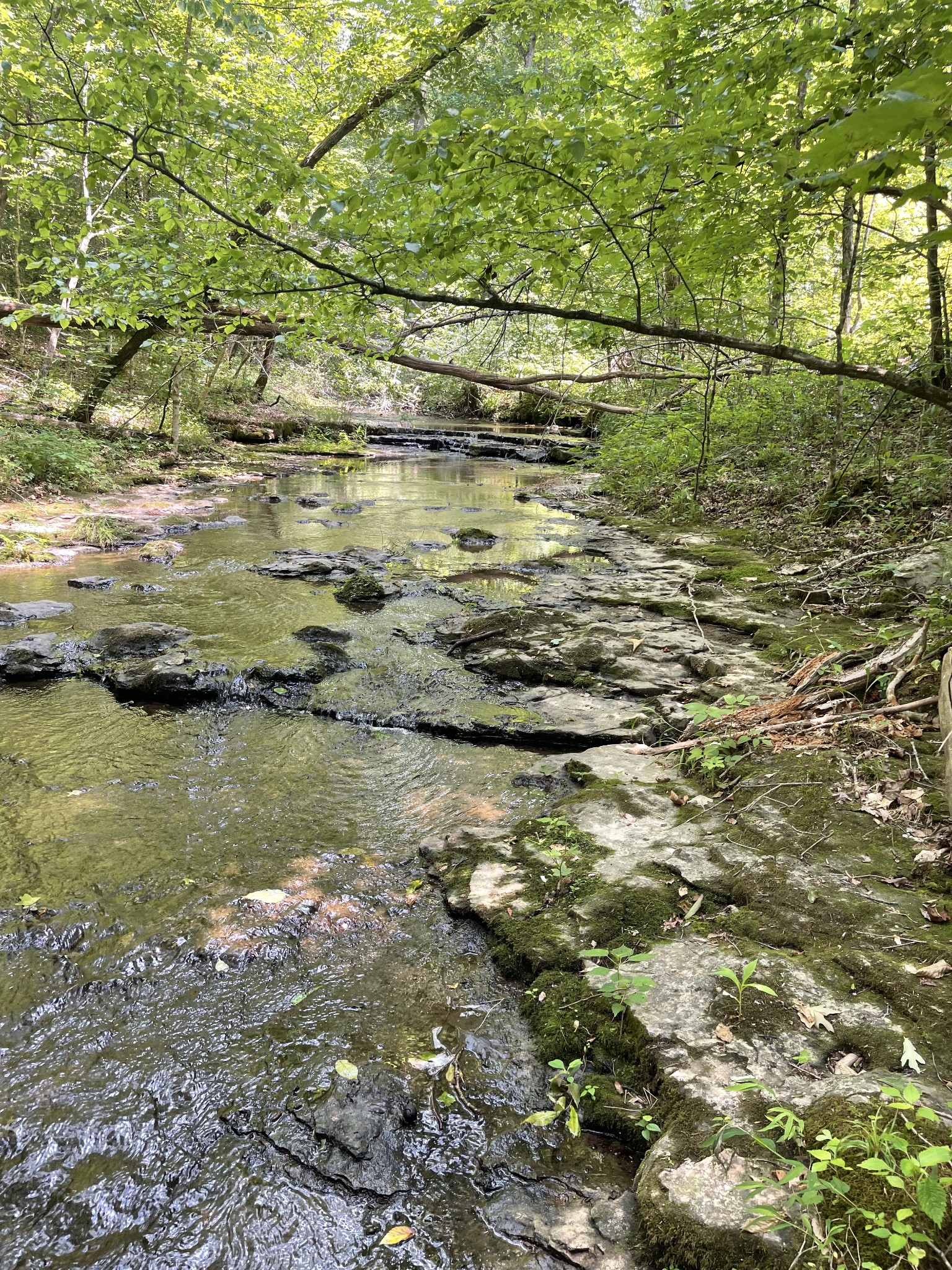 7908 Daugherty Capley Rd