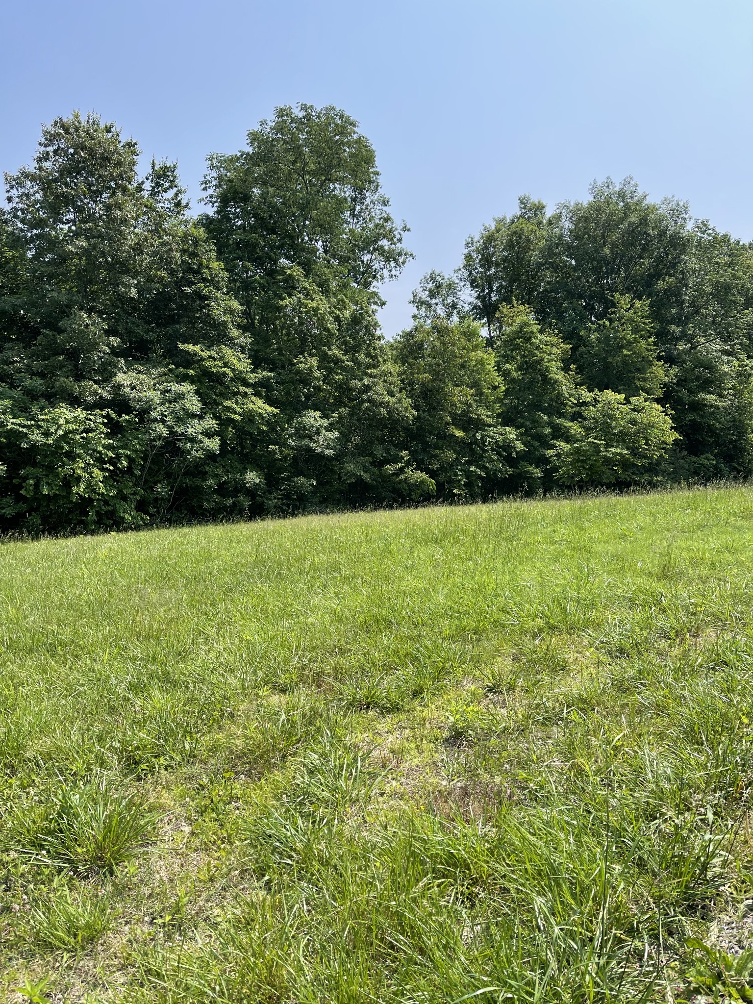 7908 Daugherty Capley Rd