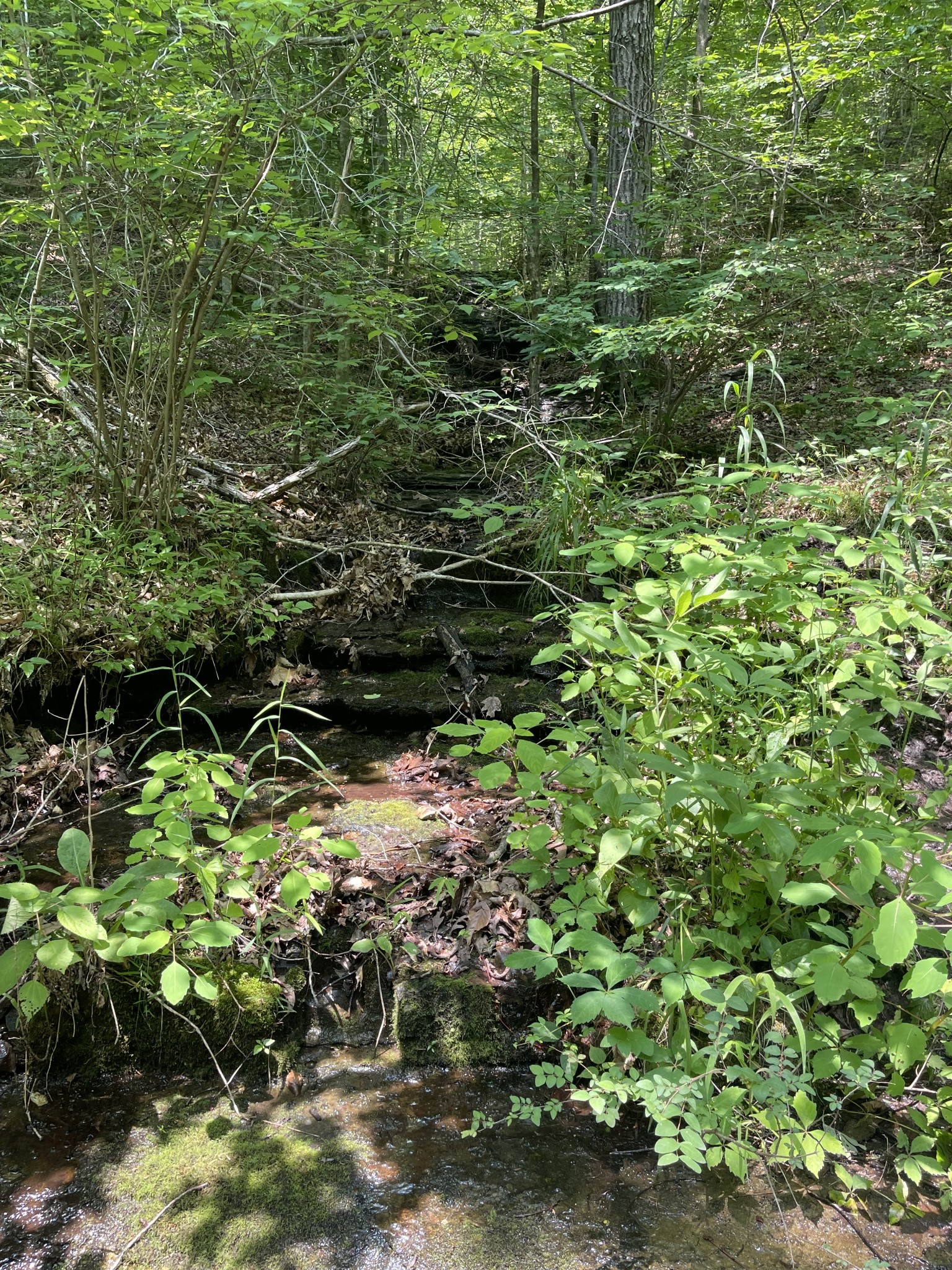 7908 Daugherty Capley Rd