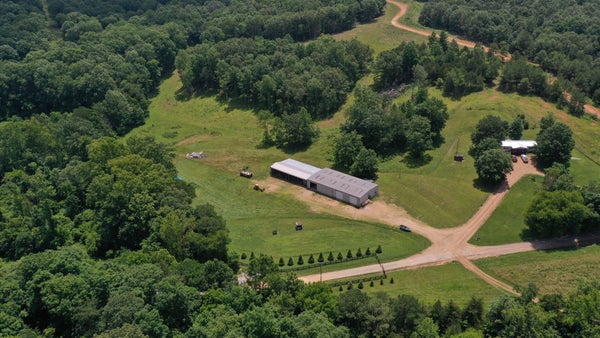 1092 SHOULDER STRAP BRANCH LN, VANLEER, TN 37181 - Image 62aff9b71d2b7155a4c5e13636ed7151/2140339608