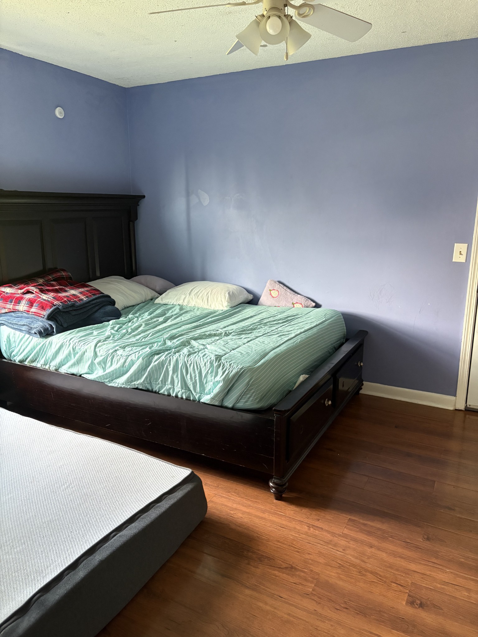 224 Brevard Ct
