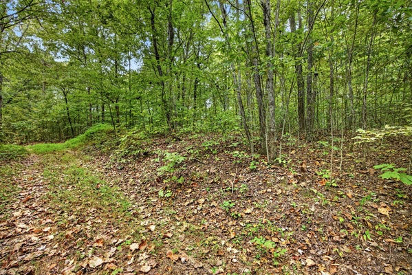 0 COLEPIN LANE, CELINA, TN 38551 - Image 62c021ffda73f3fc1148c9db0d120efd/1314607948