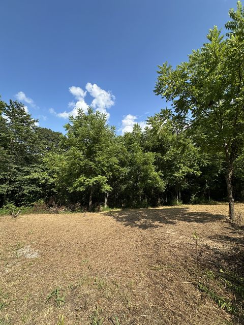 0 Rustling Oaks Ct Pleasant View TN 37146