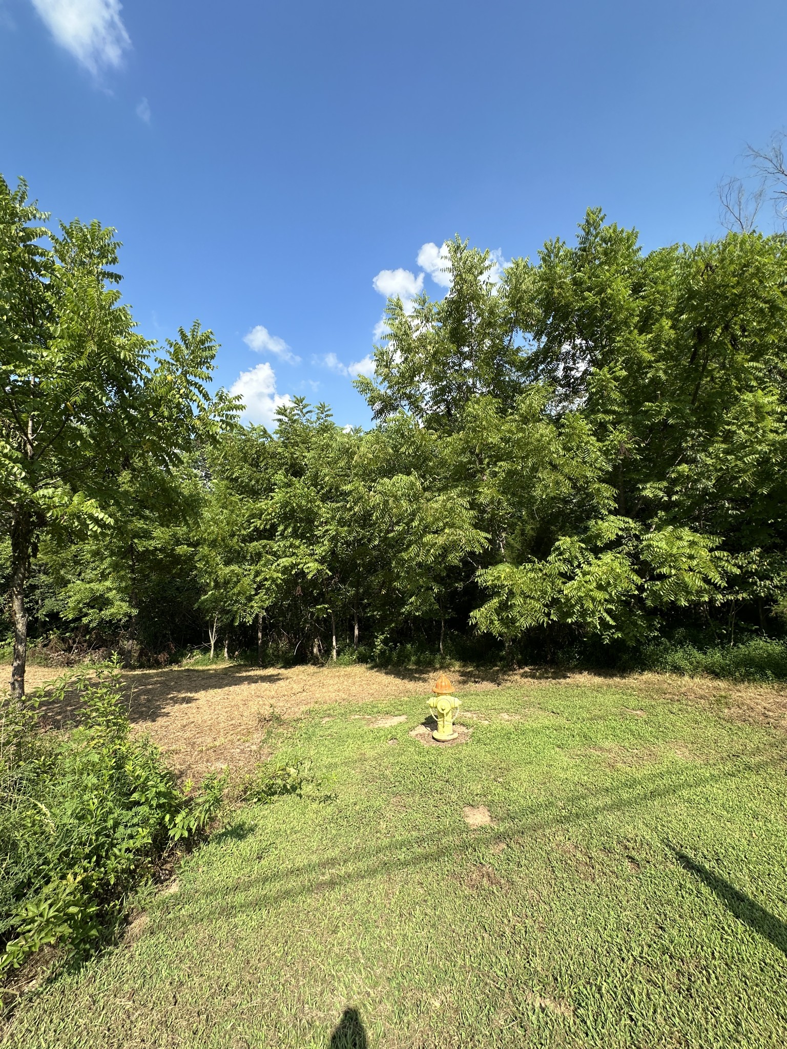 0 Rustling Oaks Ct