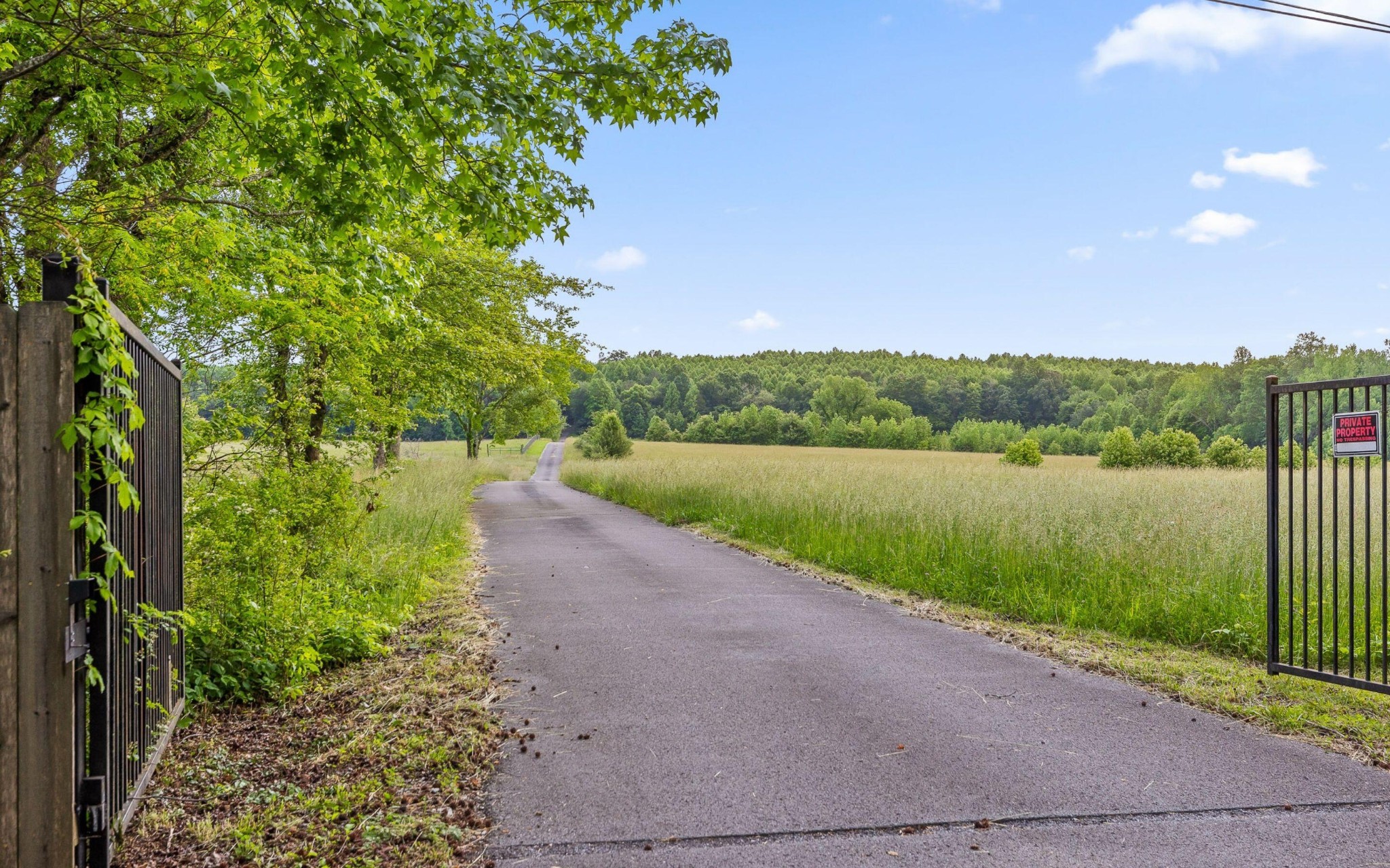 10600 Skyridge Trail