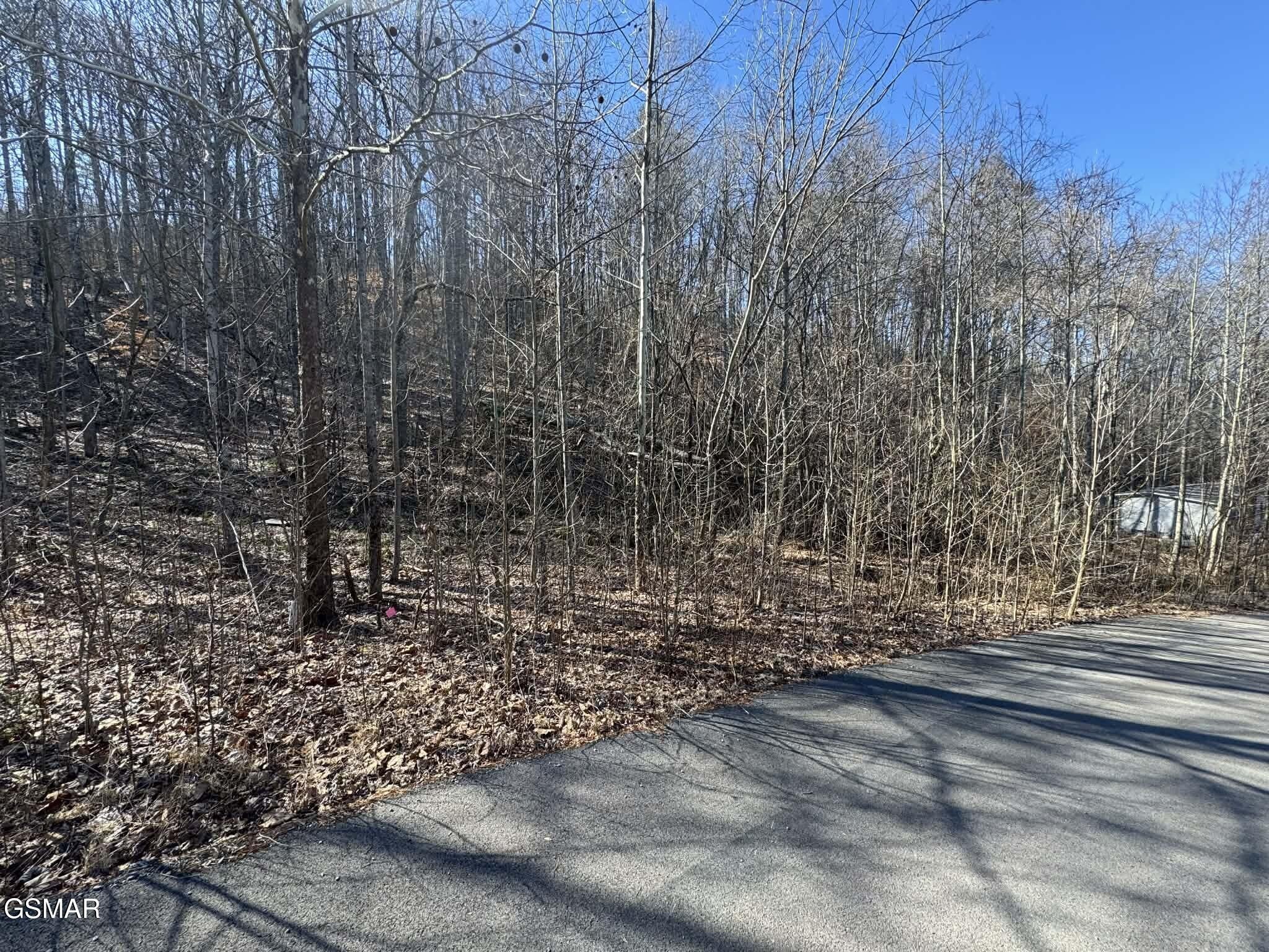 27 Blue Springs Way