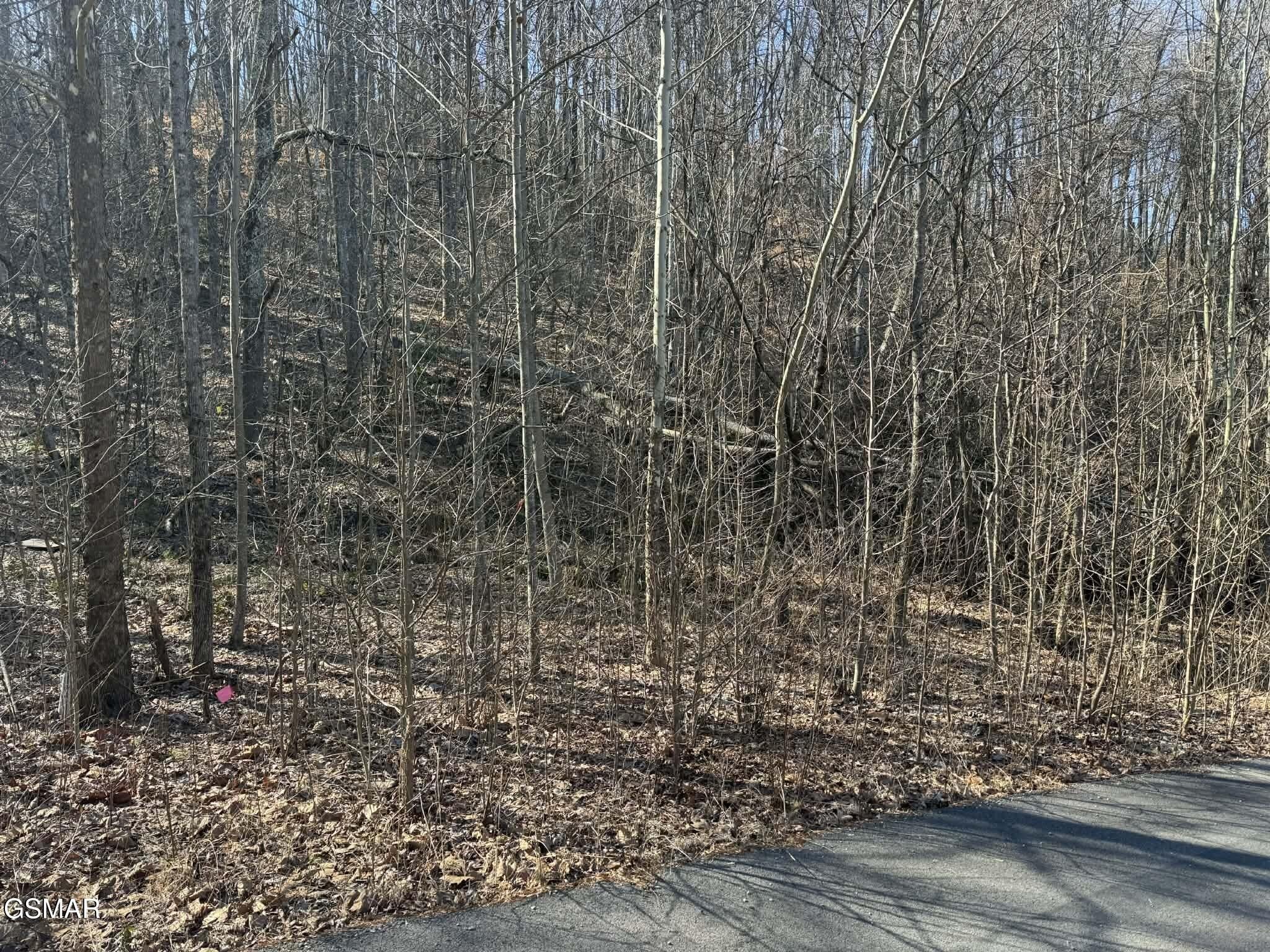 27 Blue Springs Way