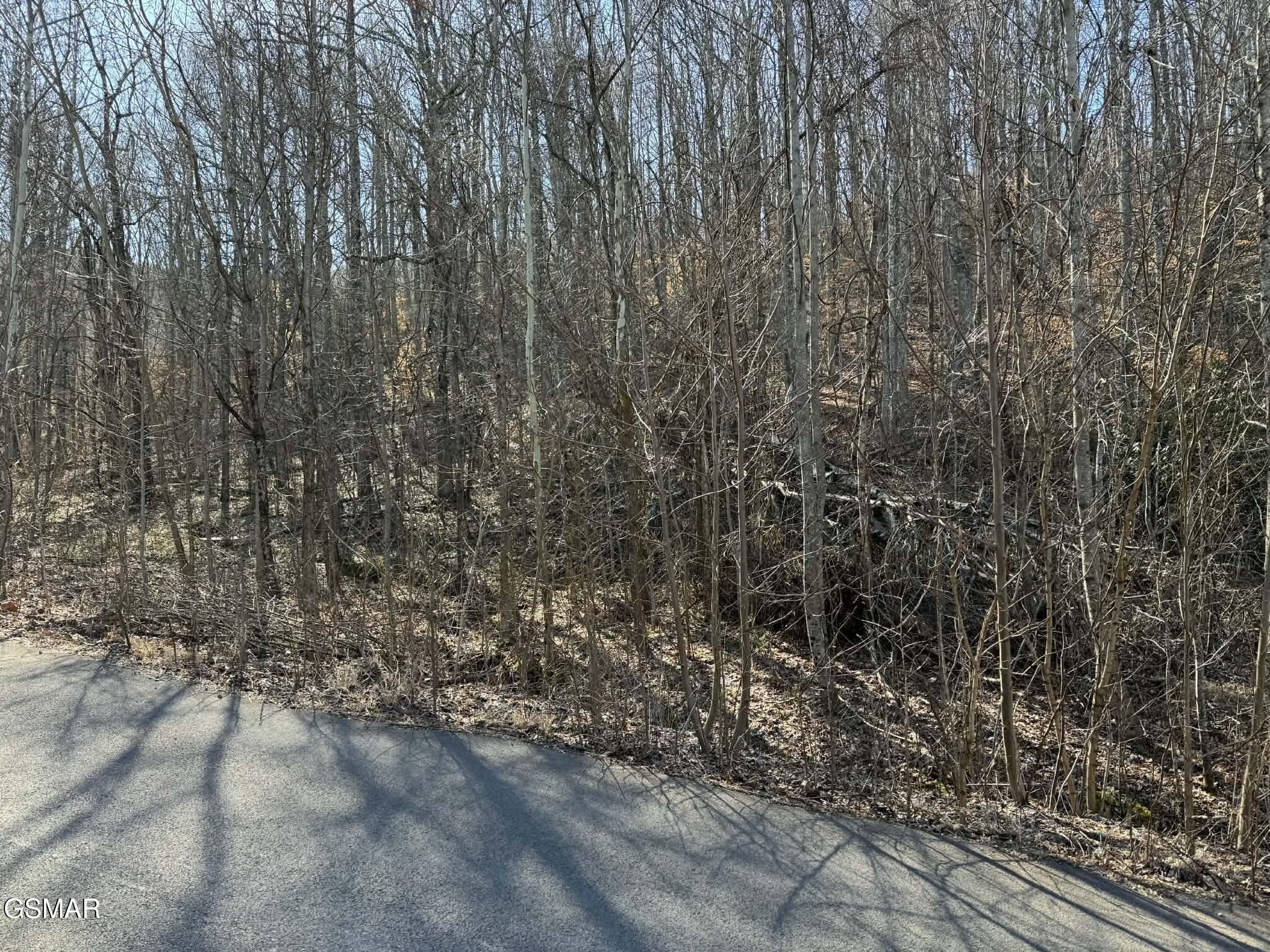 27 Blue Springs Way