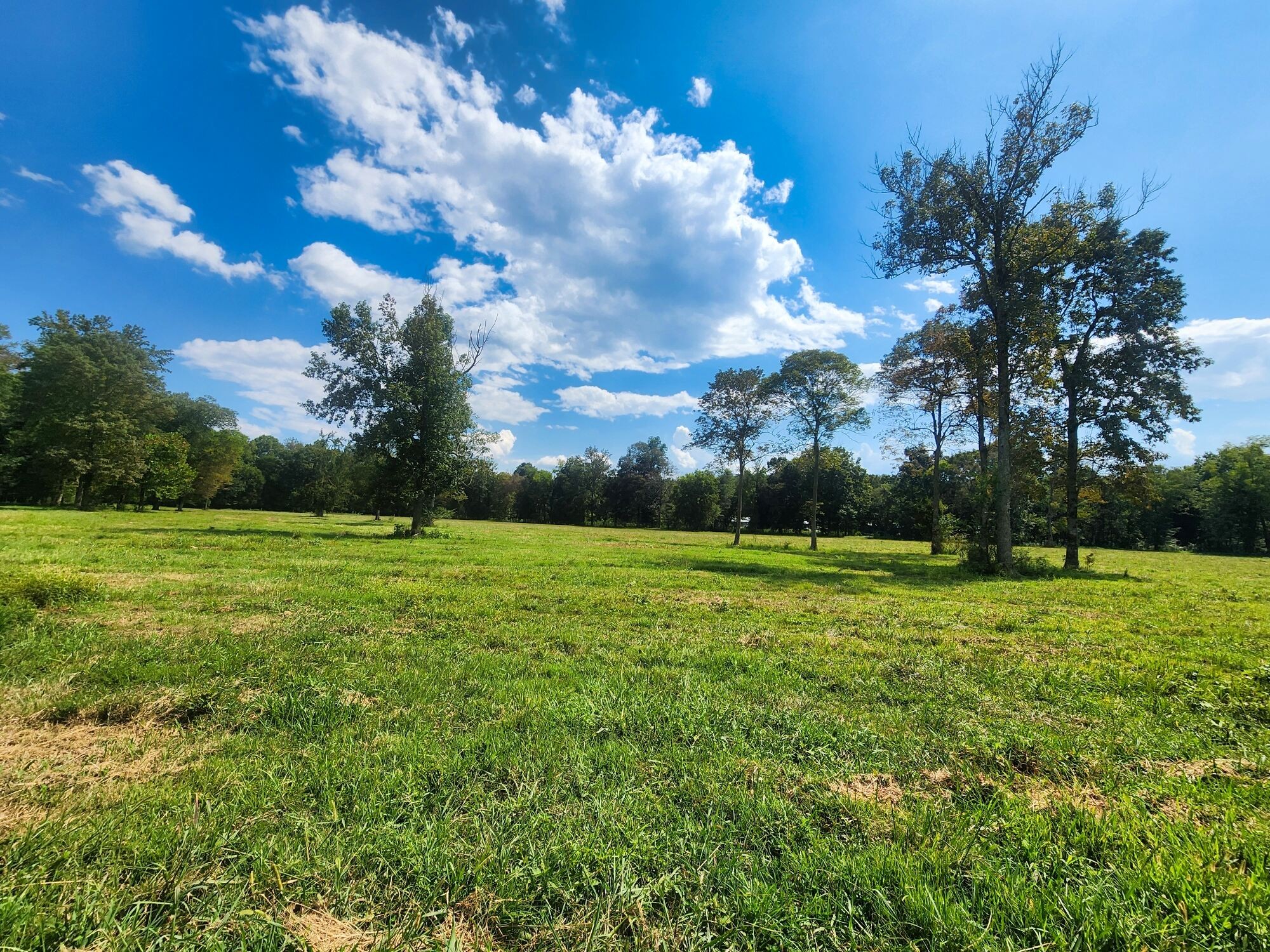 8312 Middle Butler Rd