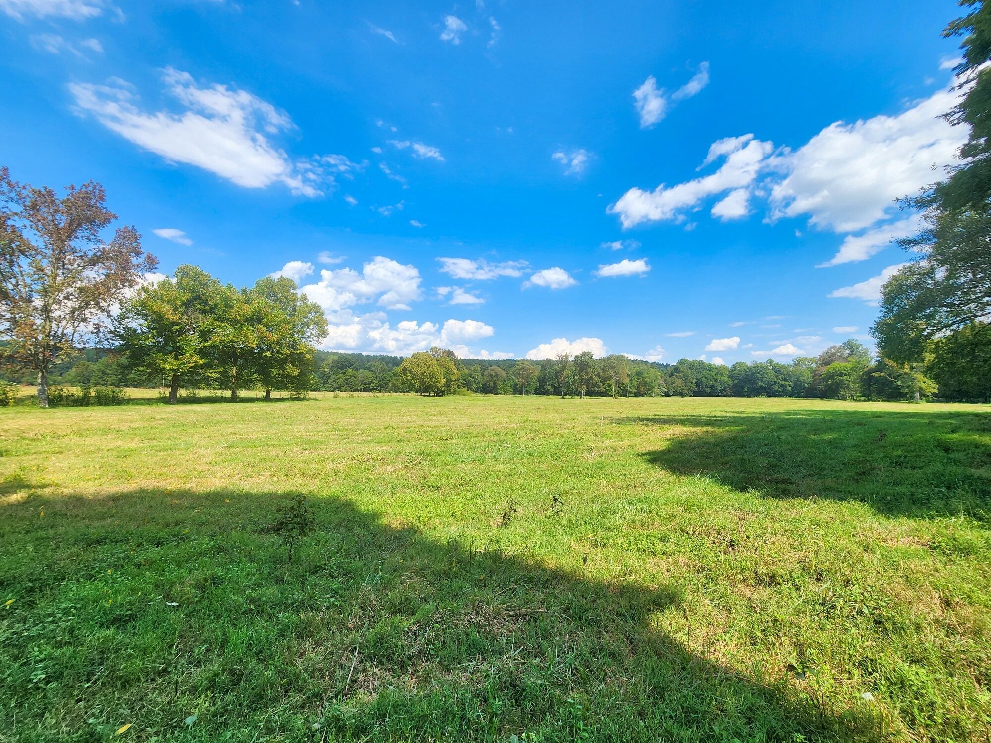 8312 Middle Butler Rd