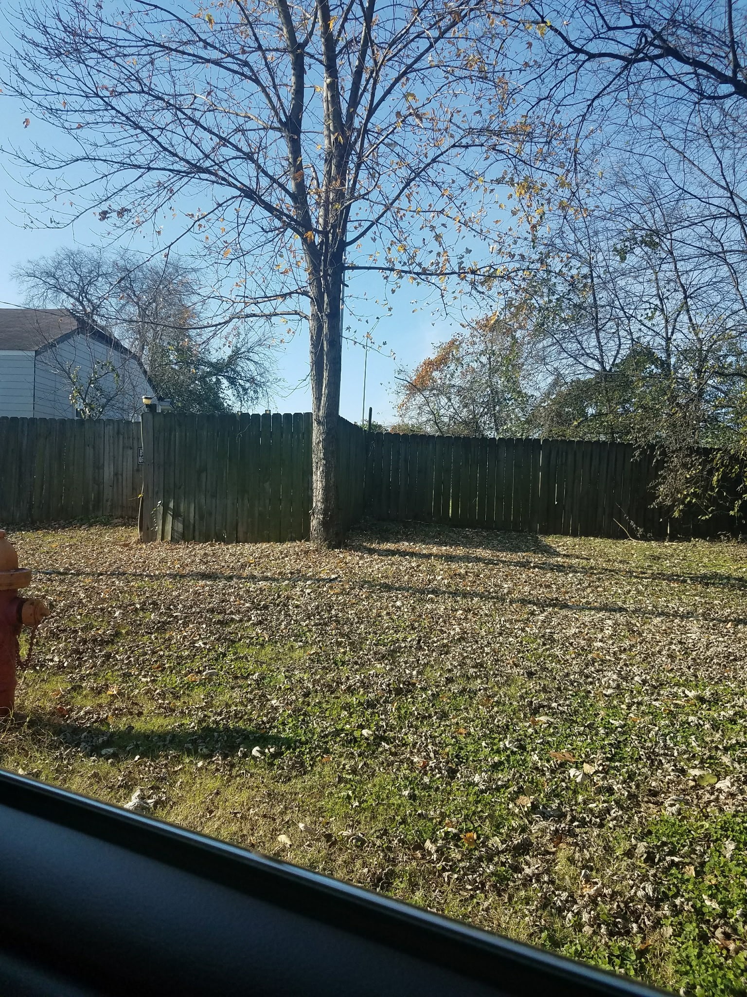 1817 7th Ave N - Photo 3