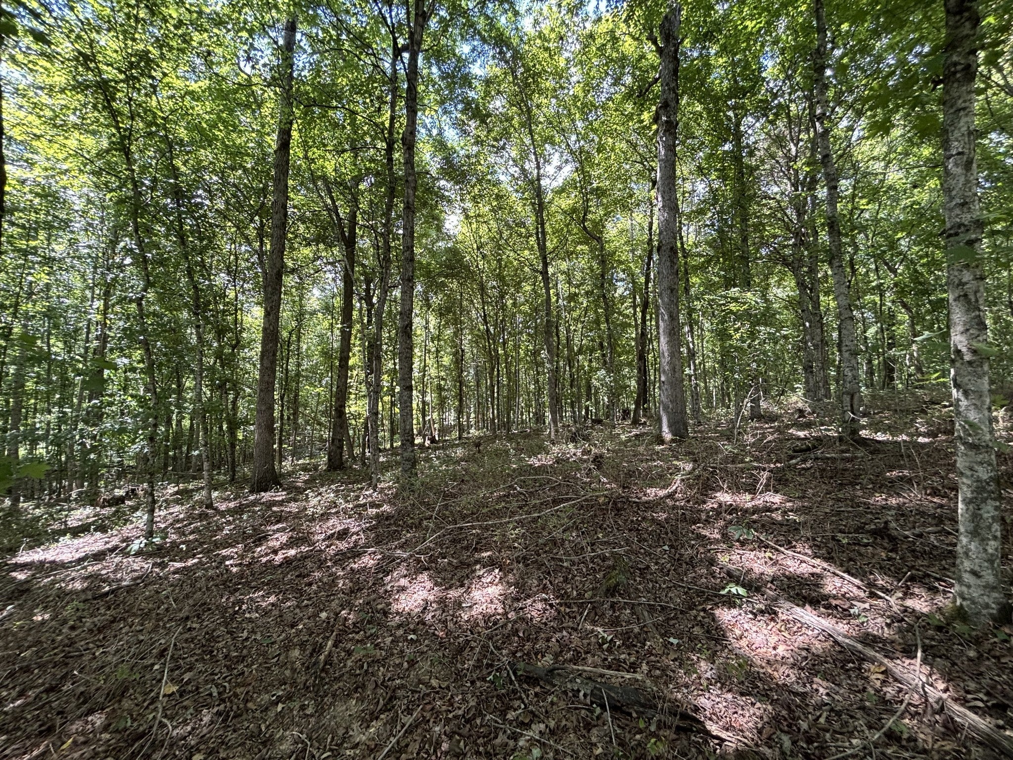 0 Middle Lick Creek Rd