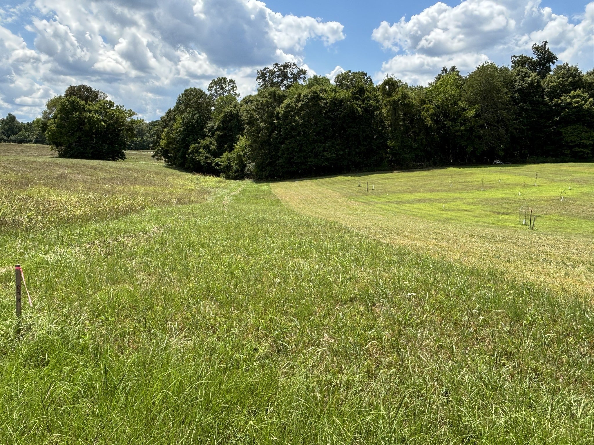 0 Middle Lick Creek Rd
