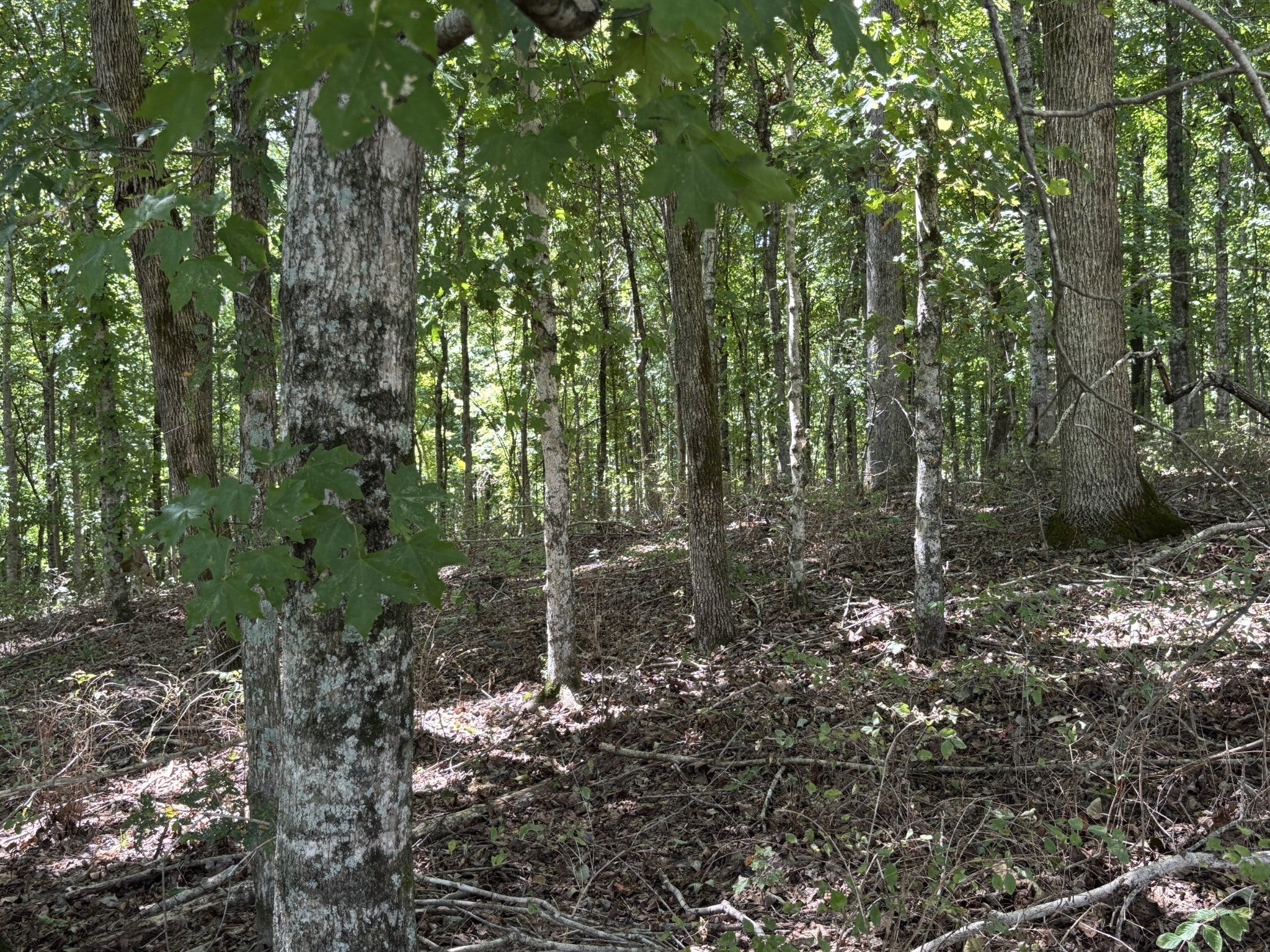 0 Middle Lick Creek Rd