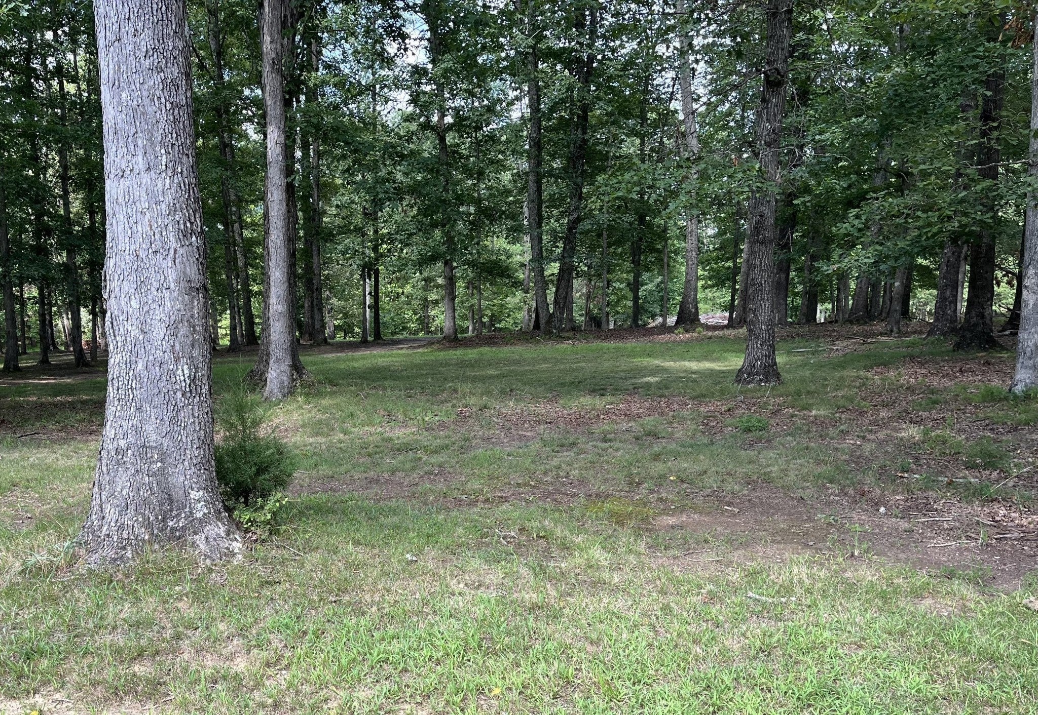 227 Blackberry Farm Rd