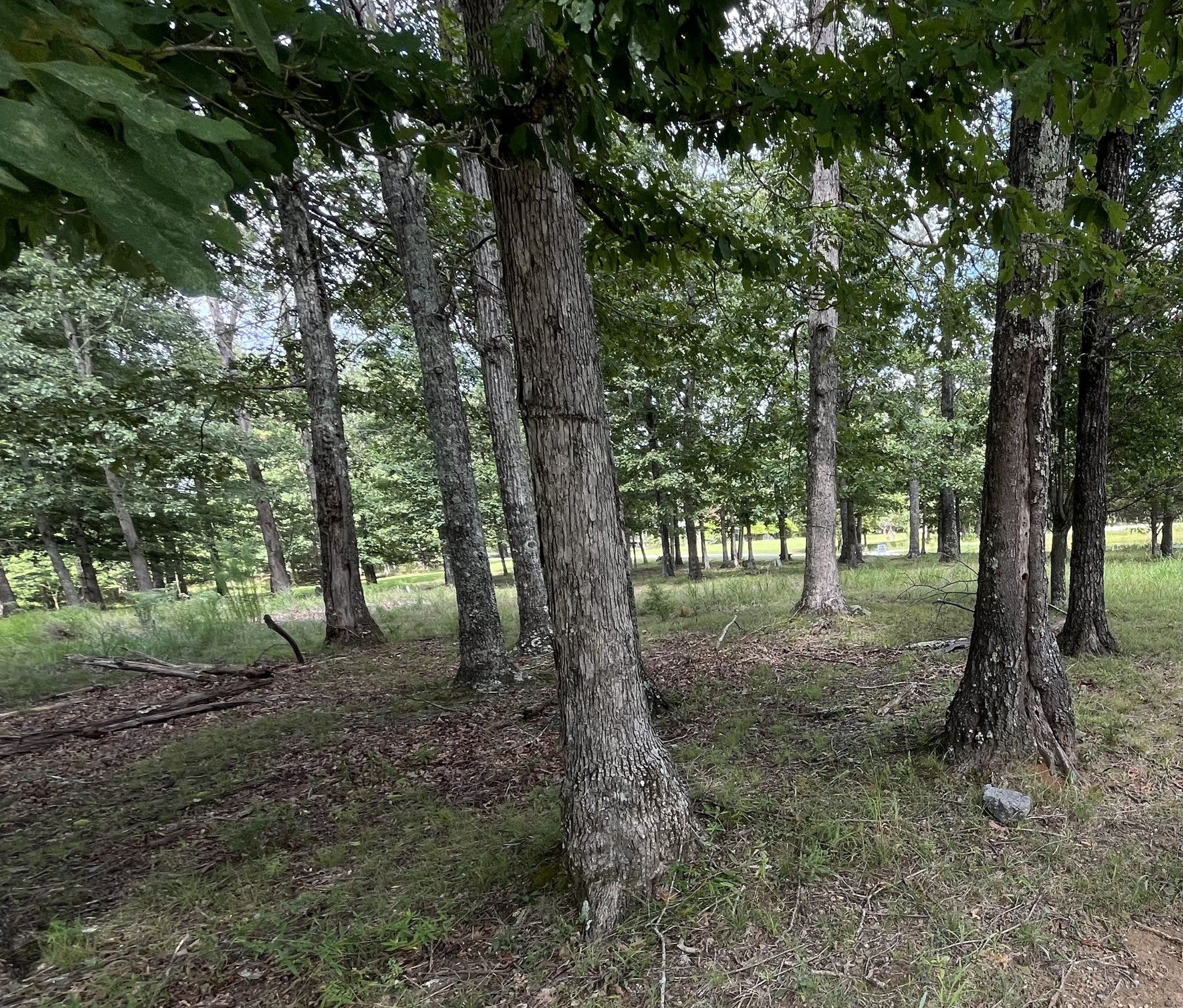 227 Blackberry Farm Rd