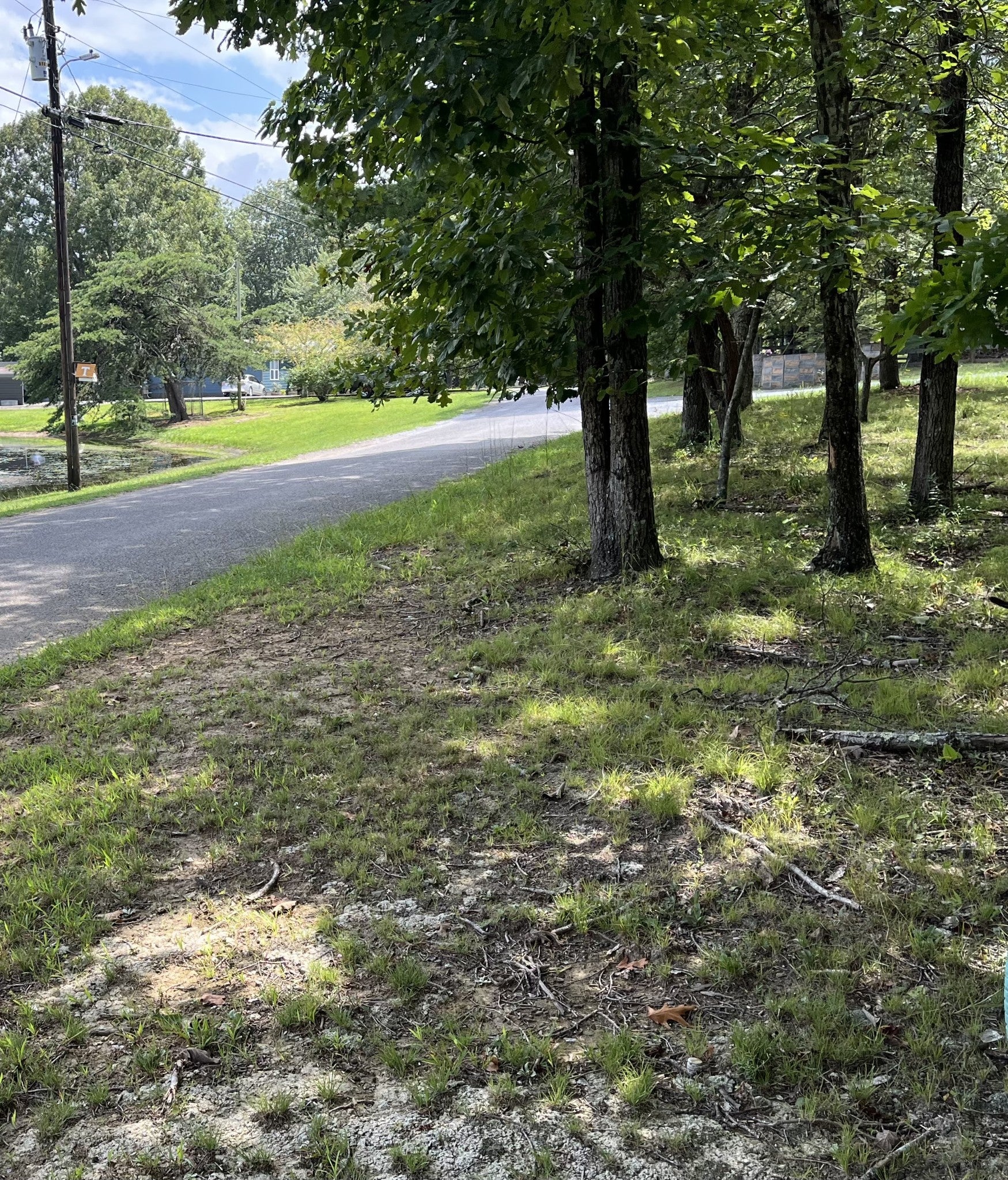 227 Blackberry Farm Rd