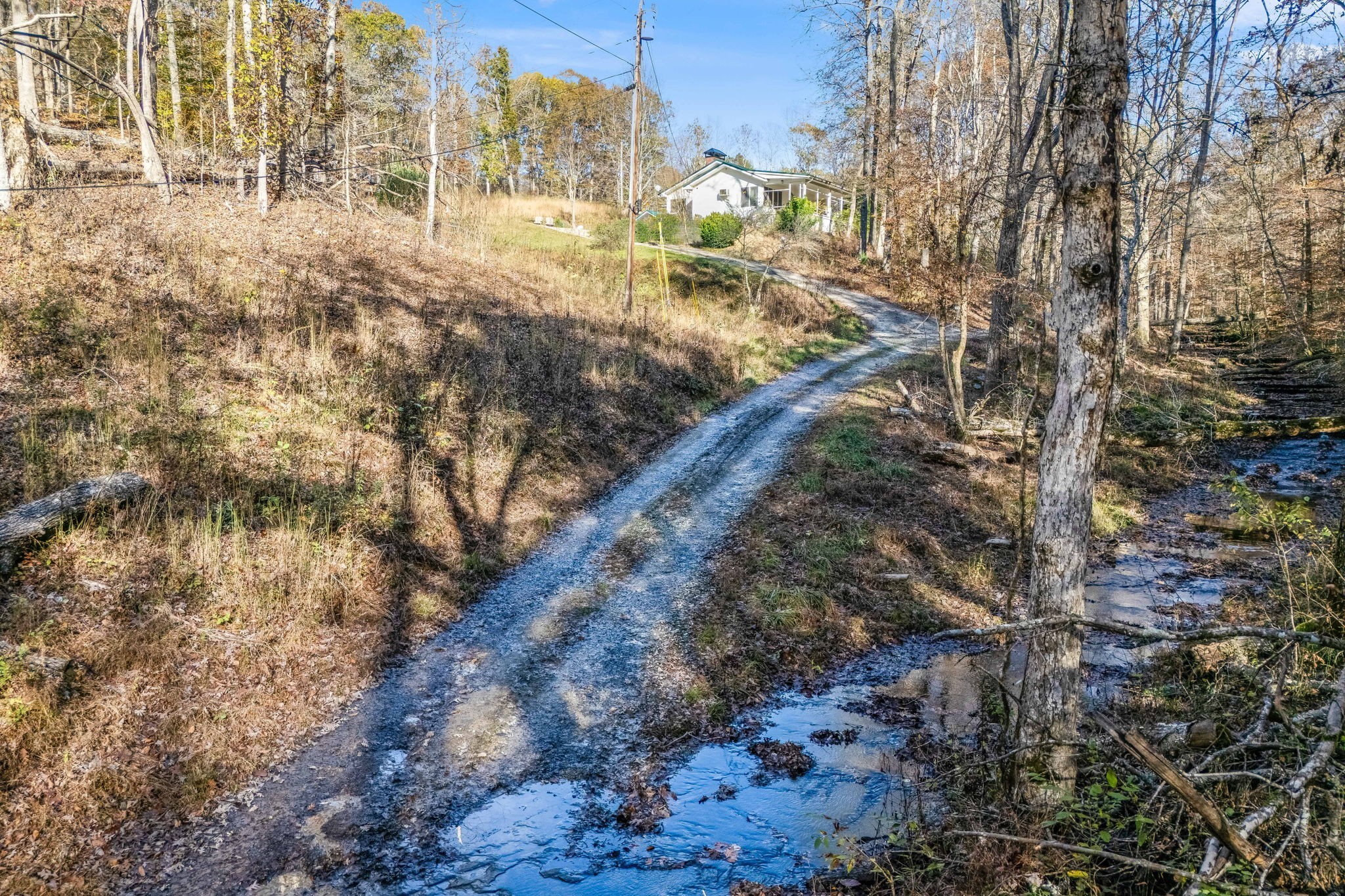 115 Buddy Nutt Rd