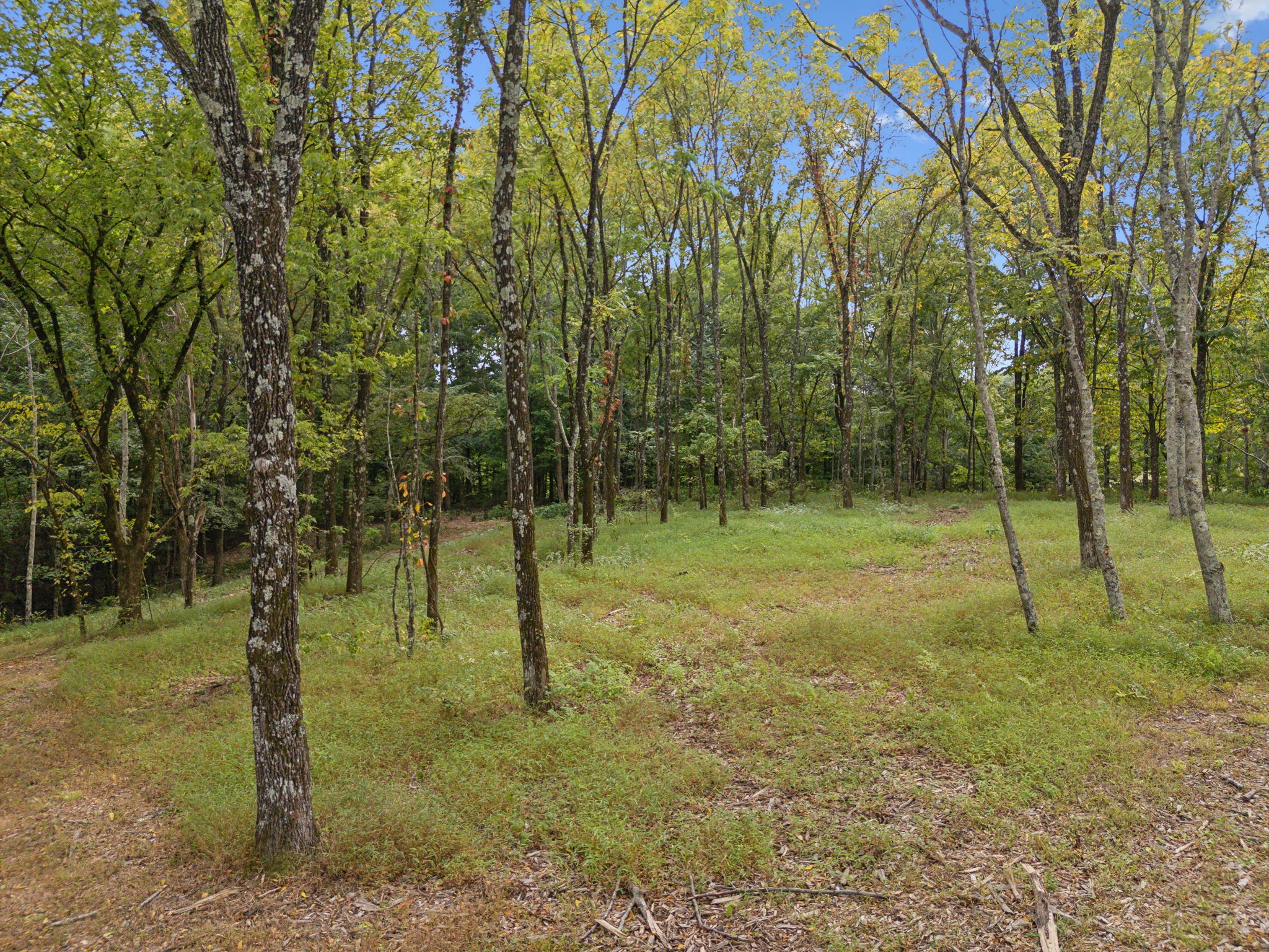 Middle Tennessee Properties 4 0 Old Natchez Trace Lot 5