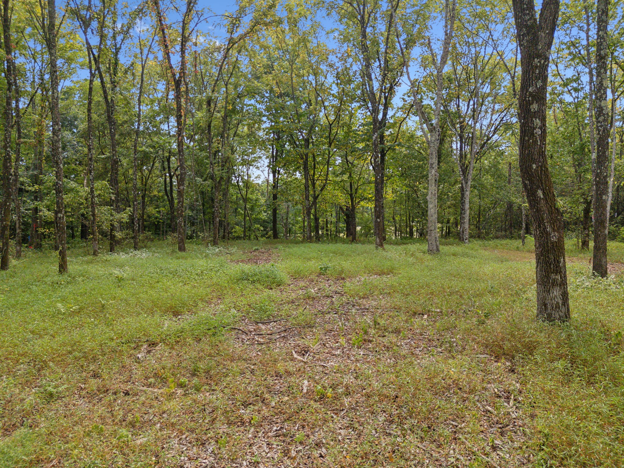 Middle Tennessee Properties 2 0 Old Natchez Trace Lot 5