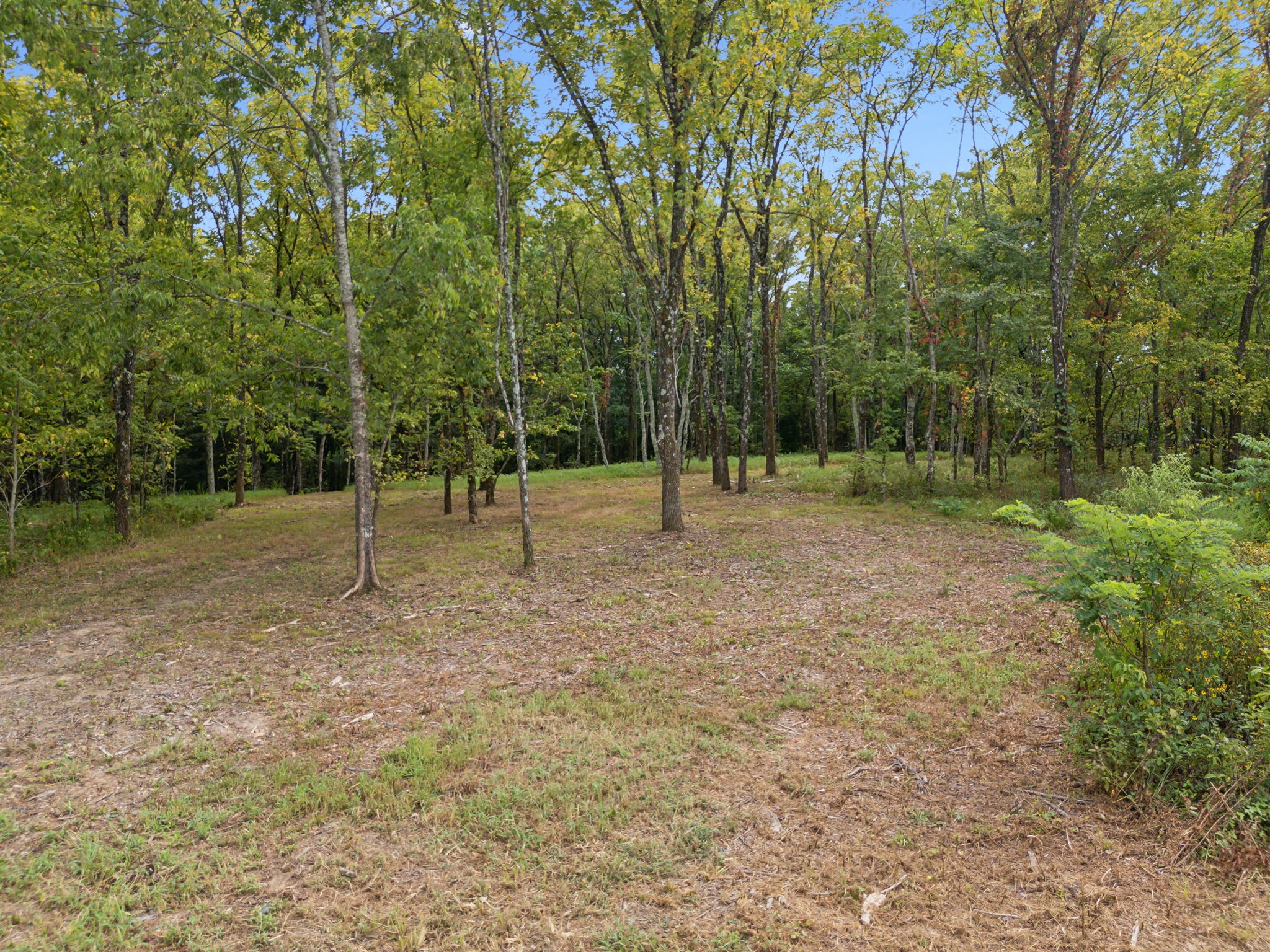 Middle Tennessee Properties 3 0 Old Natchez Trace Lot 5